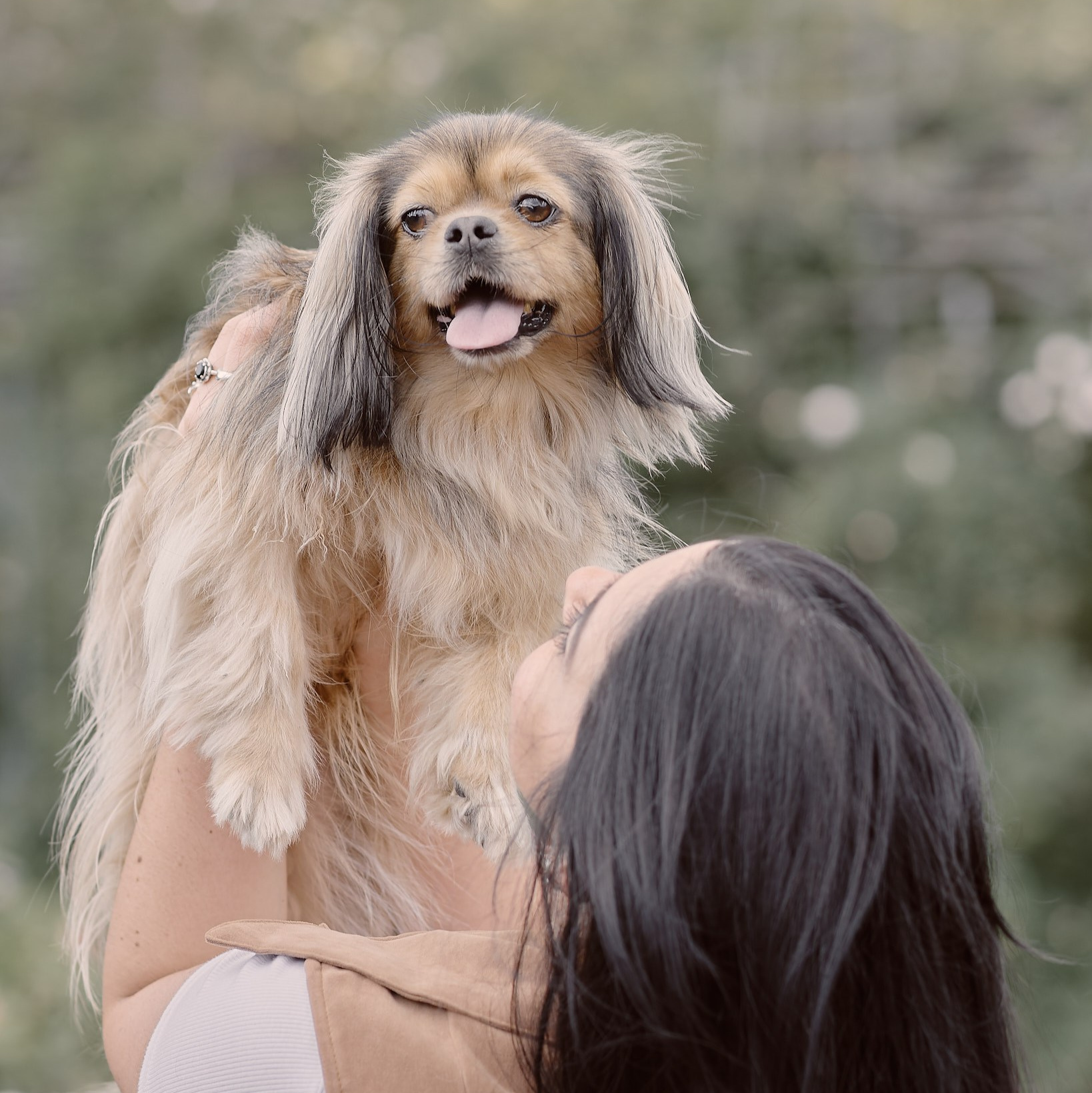 Servicios. Valssy – Fotografía de mascotas en Uruguay. Retratos profesionales de perros y gatos
