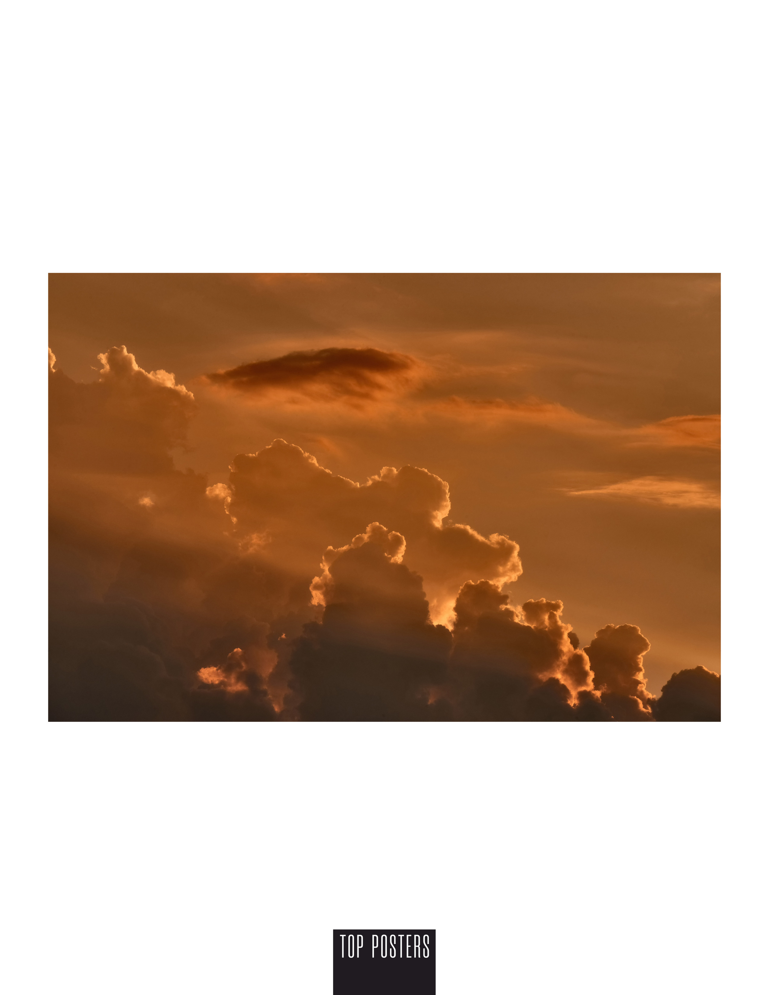 TOP POSTERS MAGAZINE — Puppies Life. Профессиональный Фотограф Халемонец Андрей в Кривой Рог Днепр Украина