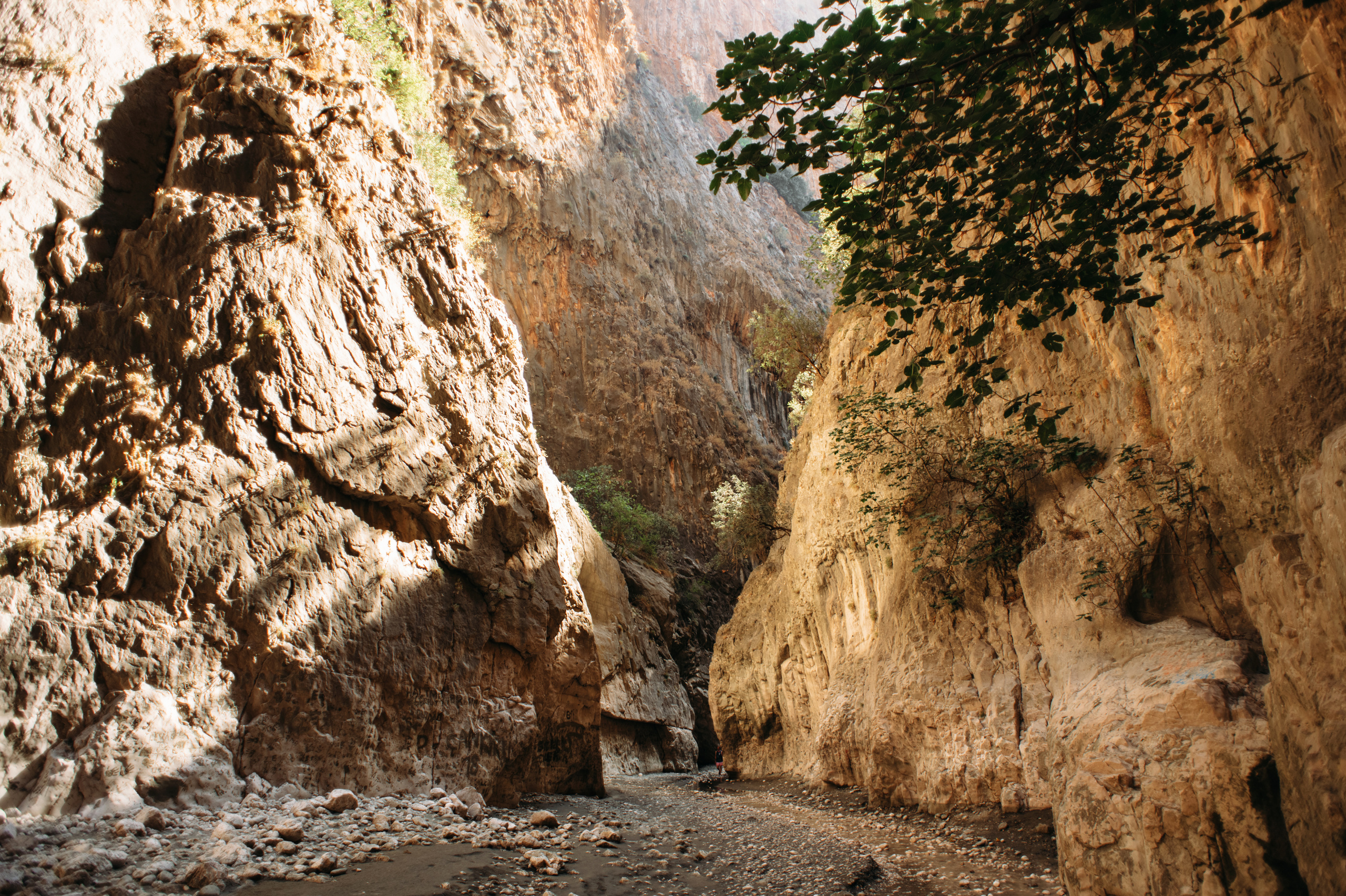 Wedding family photographer Alicante Benidorm Valencia Costa Blanca