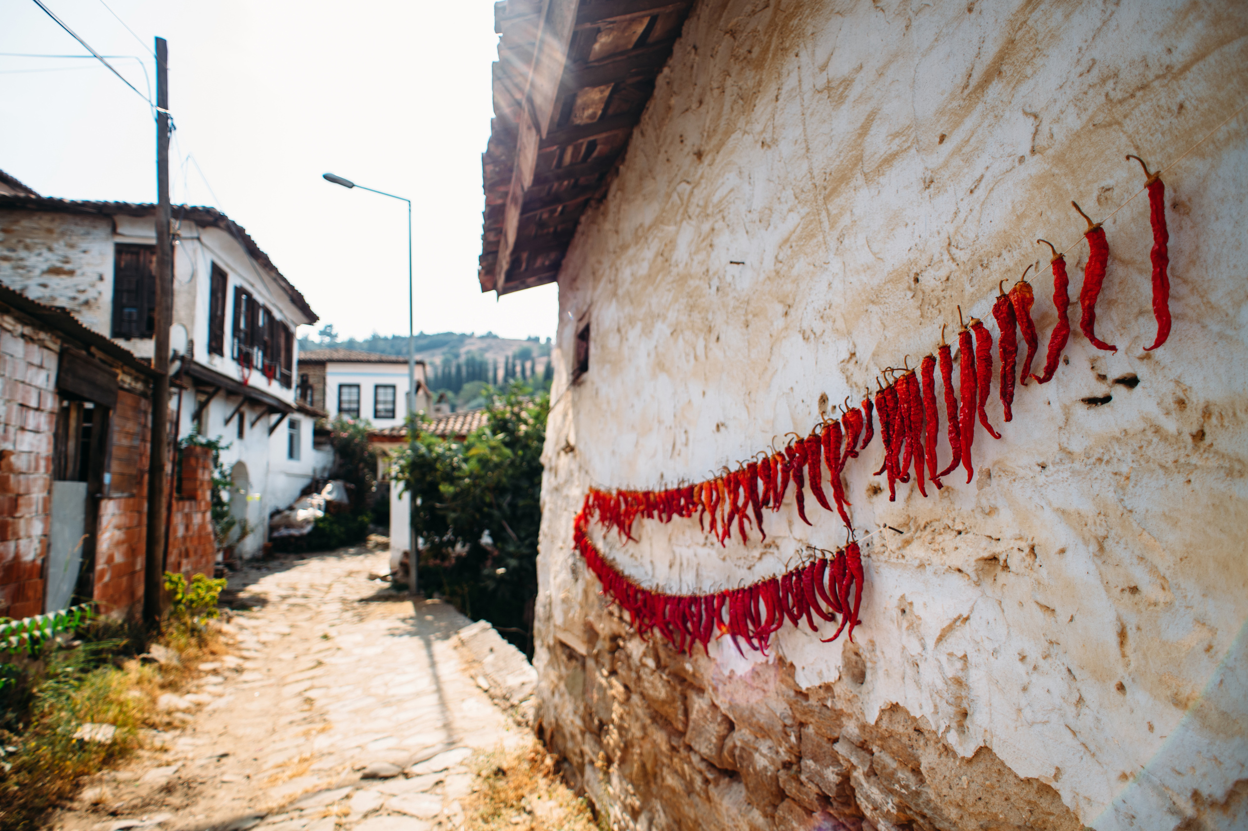 Wedding family photographer Alicante Benidorm Valencia Costa Blanca