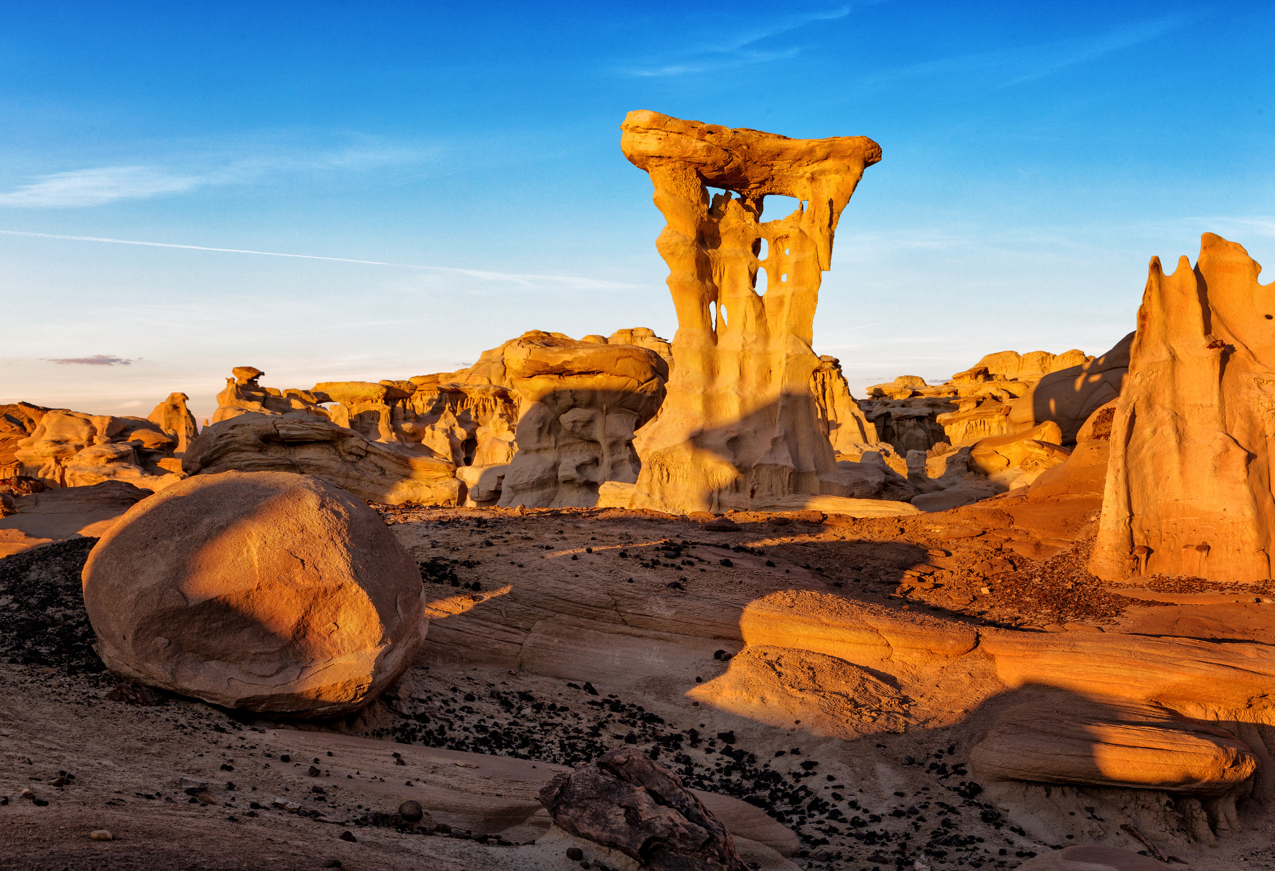 Colors of Colorado & New Mexico. Pet, Senior, Landscape, portrait studio, photographer in Miami and Sou