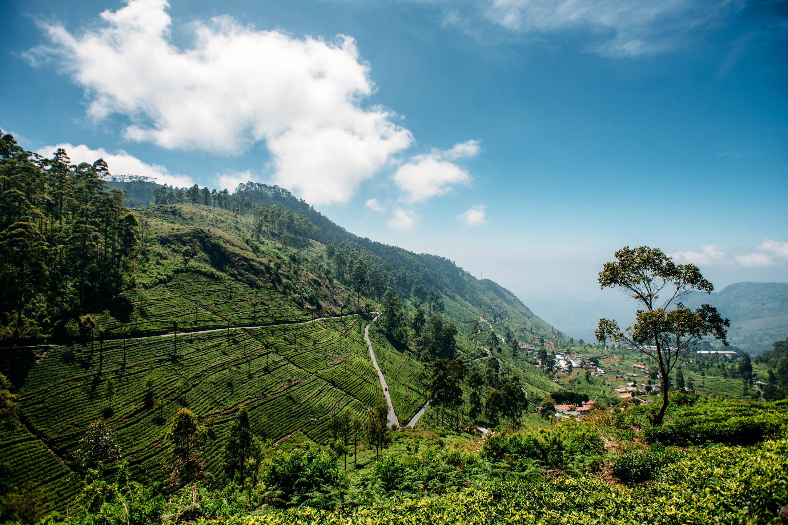 Wedding family photographer Alicante Benidorm Valencia Costa Blanca