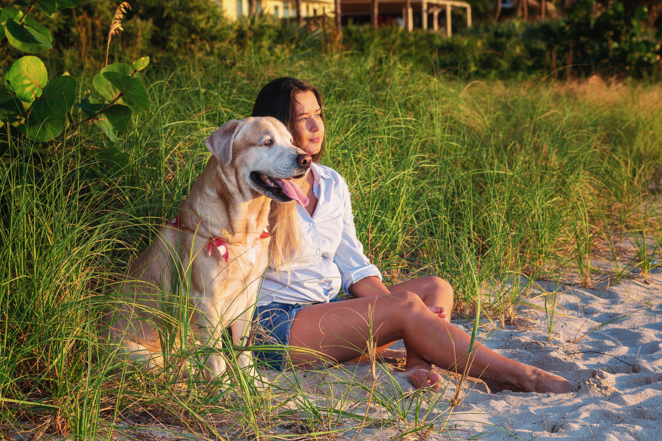 Pet Photography. Pet, Senior, Landscape, portrait studio, photographer in Miami and Sou