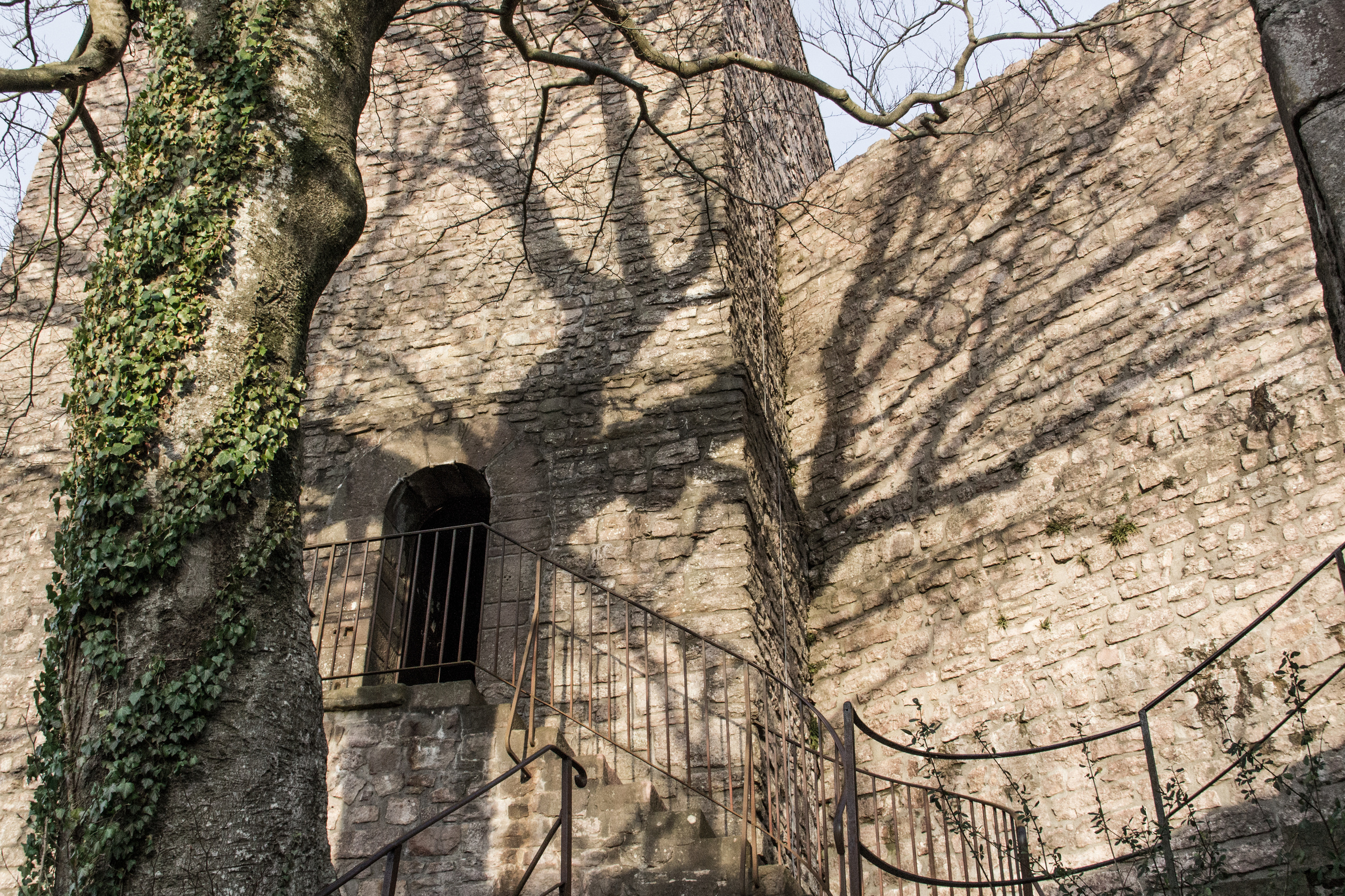 Старый замок в Баден-Бадене. Фотограф в Германии — Мария Чистякова