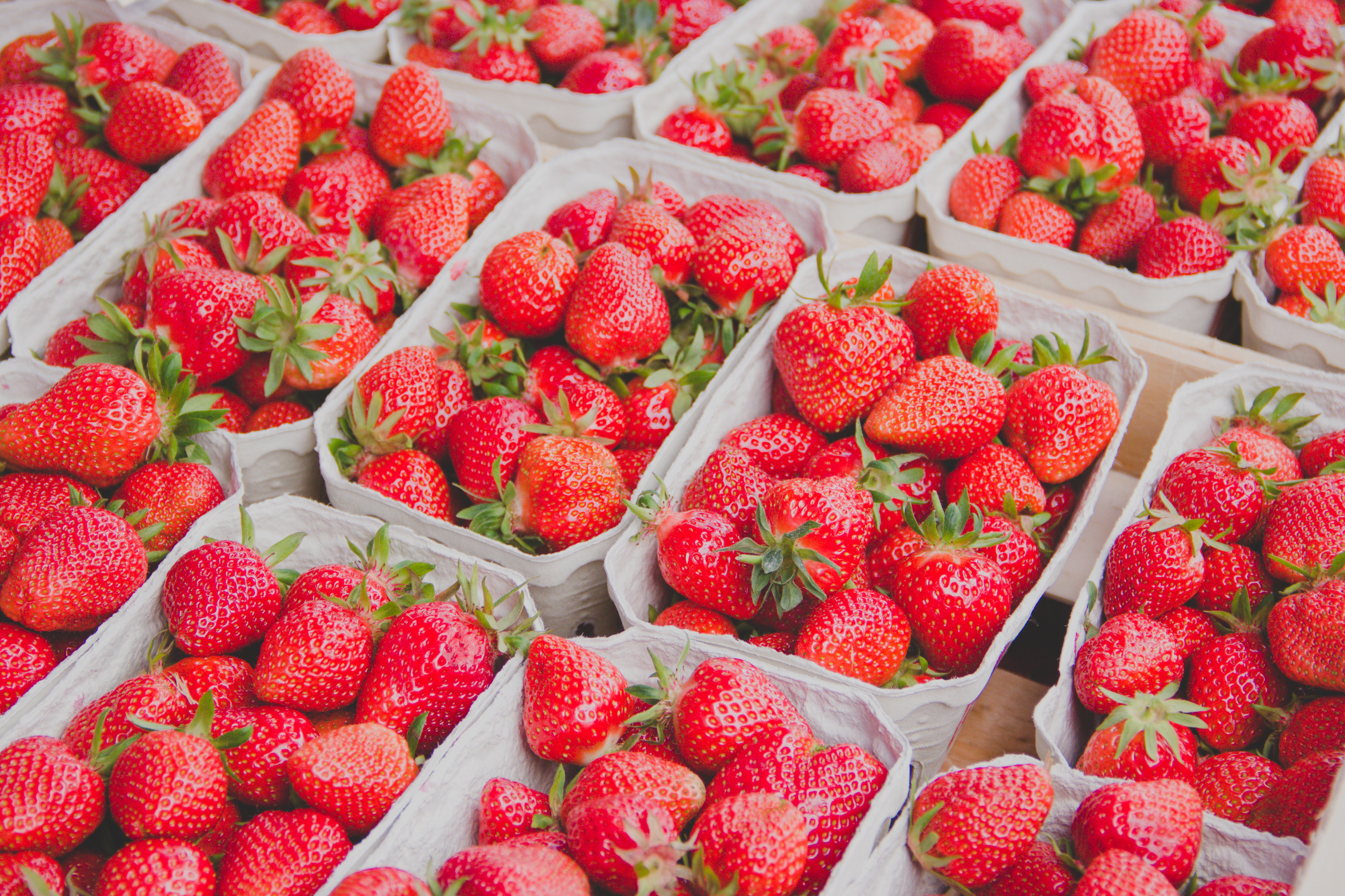 Oberkircher Erdbeerfest. Maria Chistyakovа — Fotografin in Karlsruhe, Baden-Baden und Umgebung