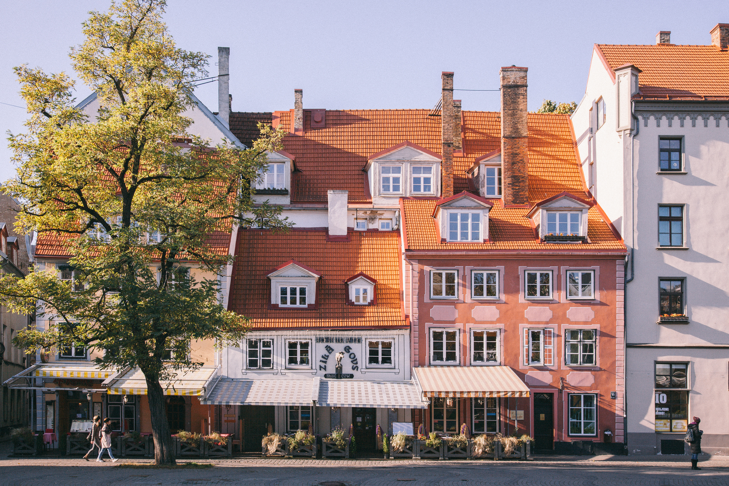 Рига в октябре. Фотограф в Германии — Мария Чистякова