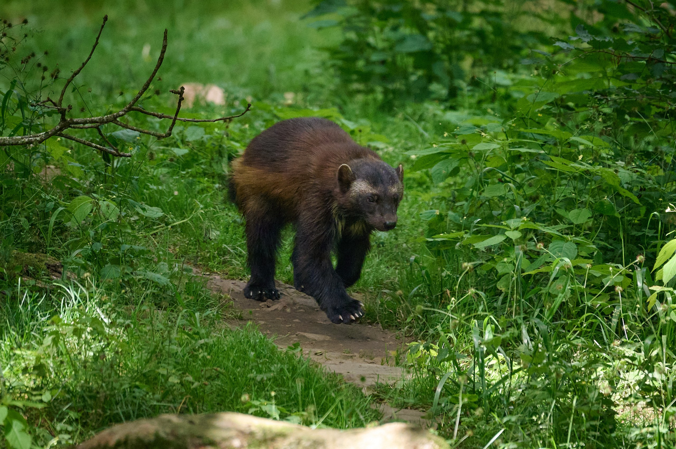 Visit Skånes Djurpark. Yuri Popkov | Photographer