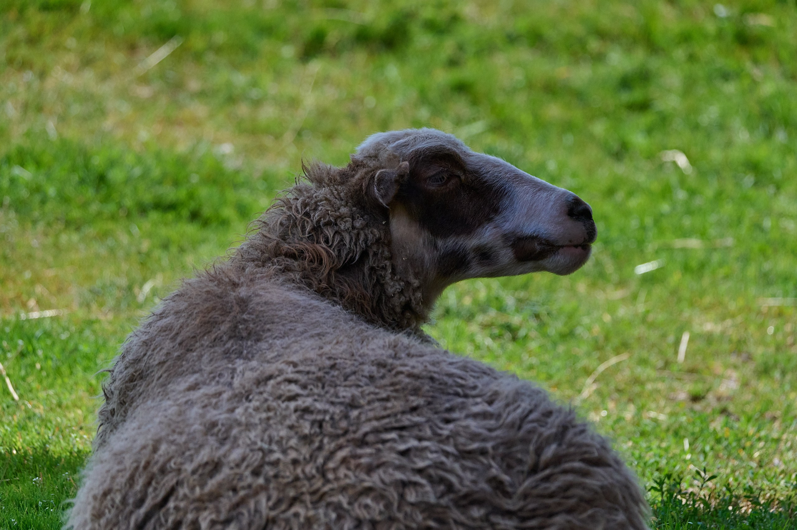 Visit Skånes Djurpark. Yuri Popkov | Photographer