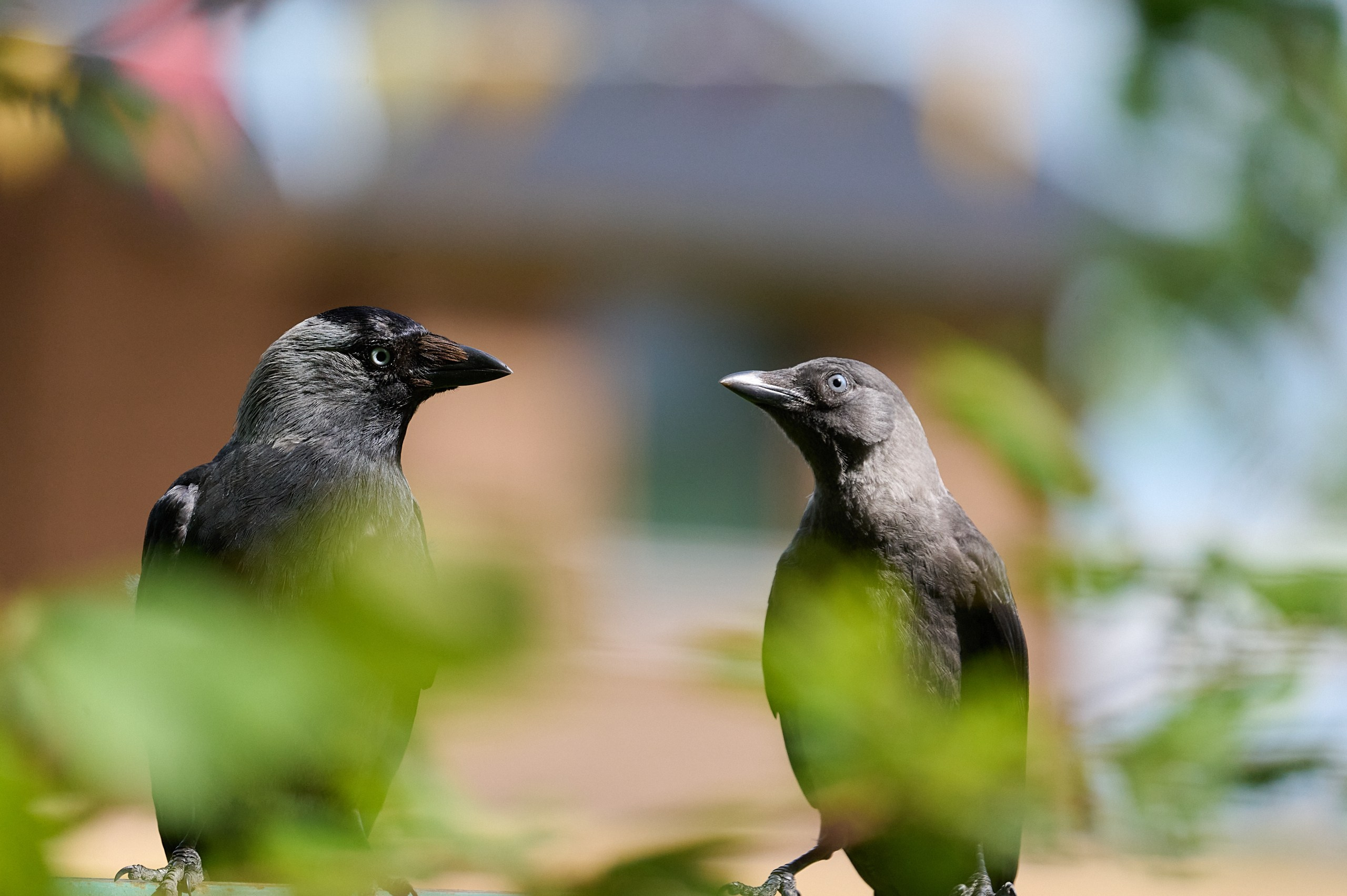 Visit Skånes Djurpark. Yuri Popkov | Photographer