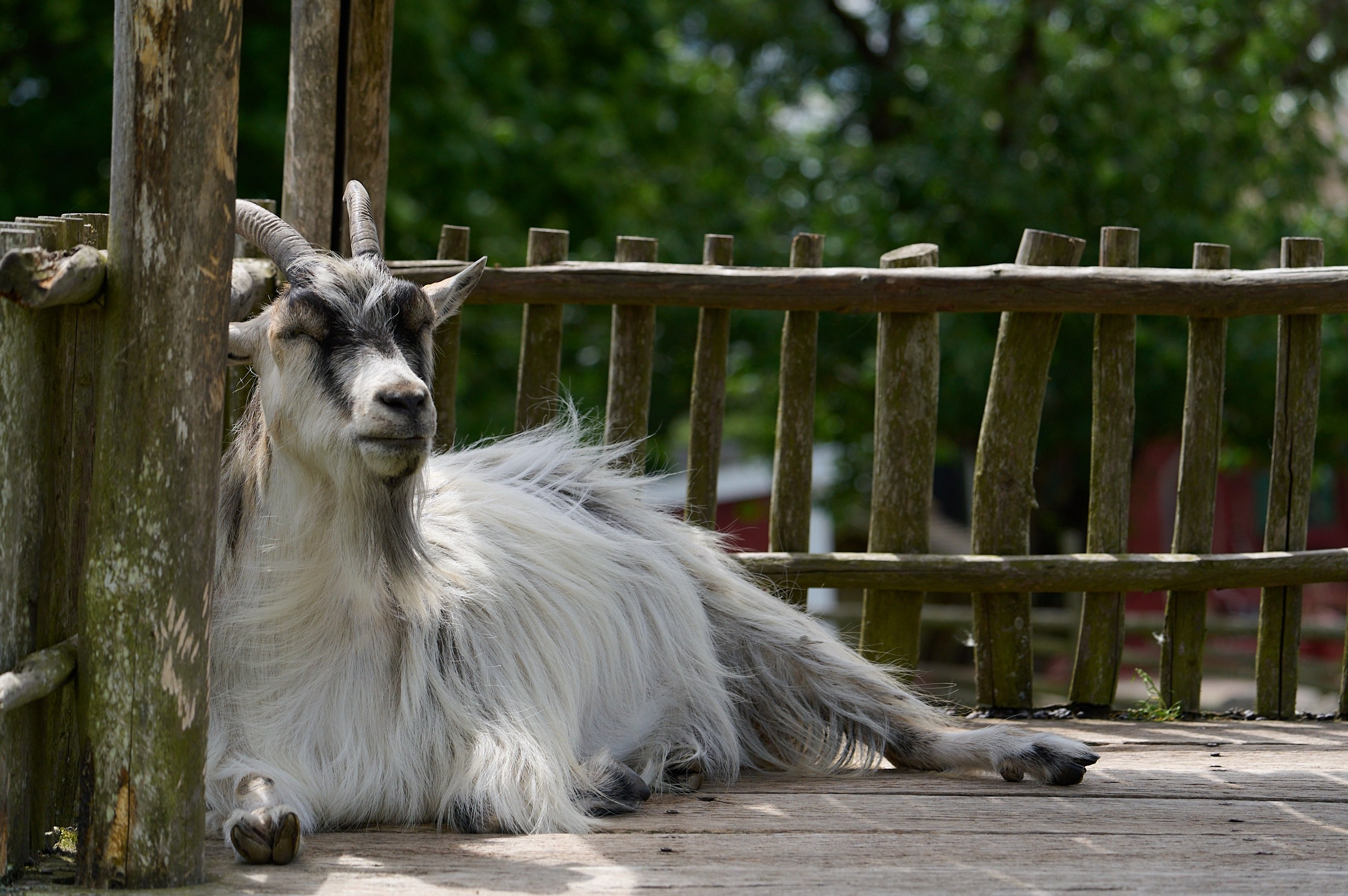 Visit Skånes Djurpark. Yuri Popkov | Photographer