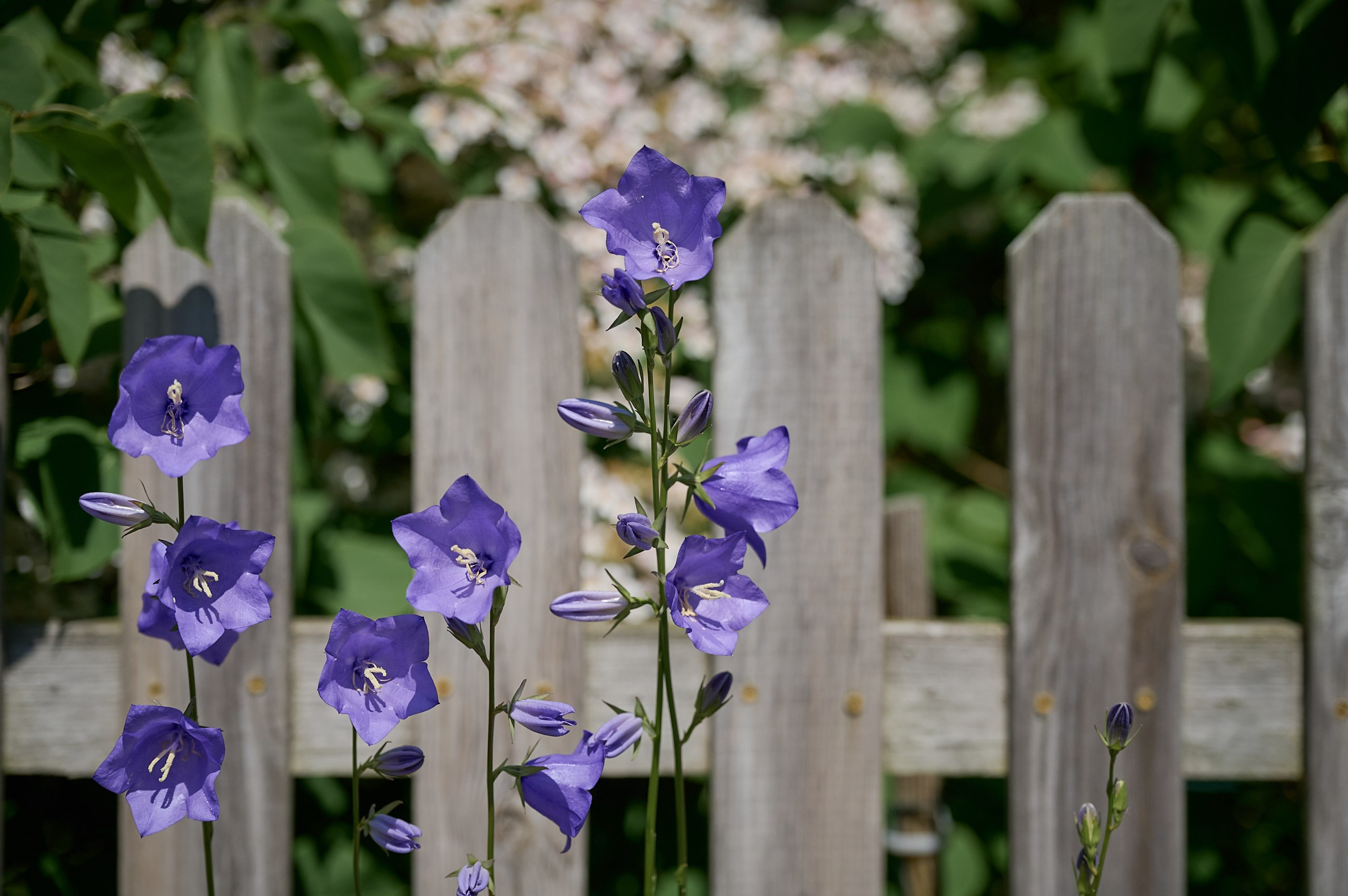 Österlen: Kivik and Simrishamn. Yuri Popkov | Photographer