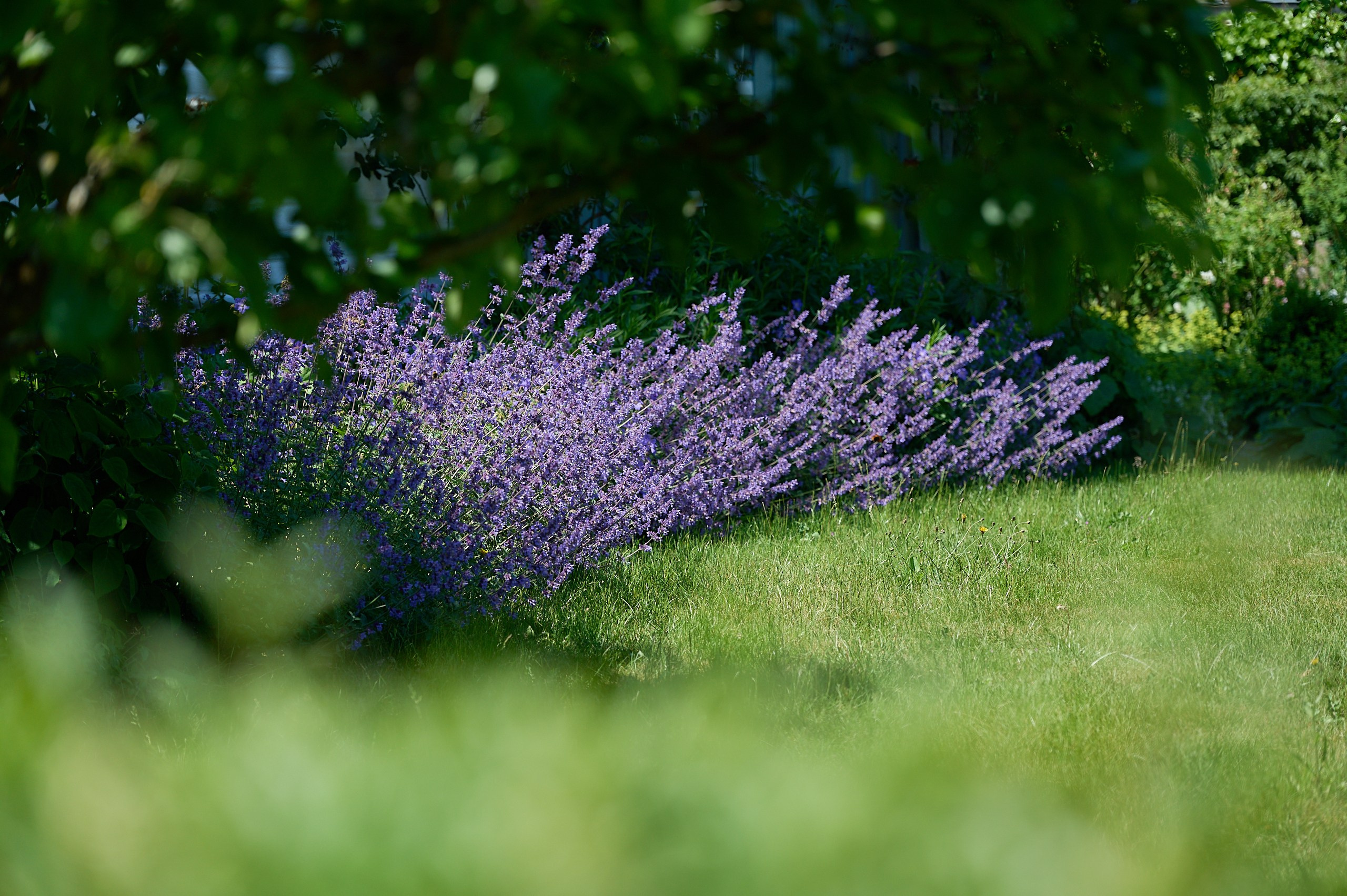 Österlen: Kivik and Simrishamn. Yuri Popkov | Photographer