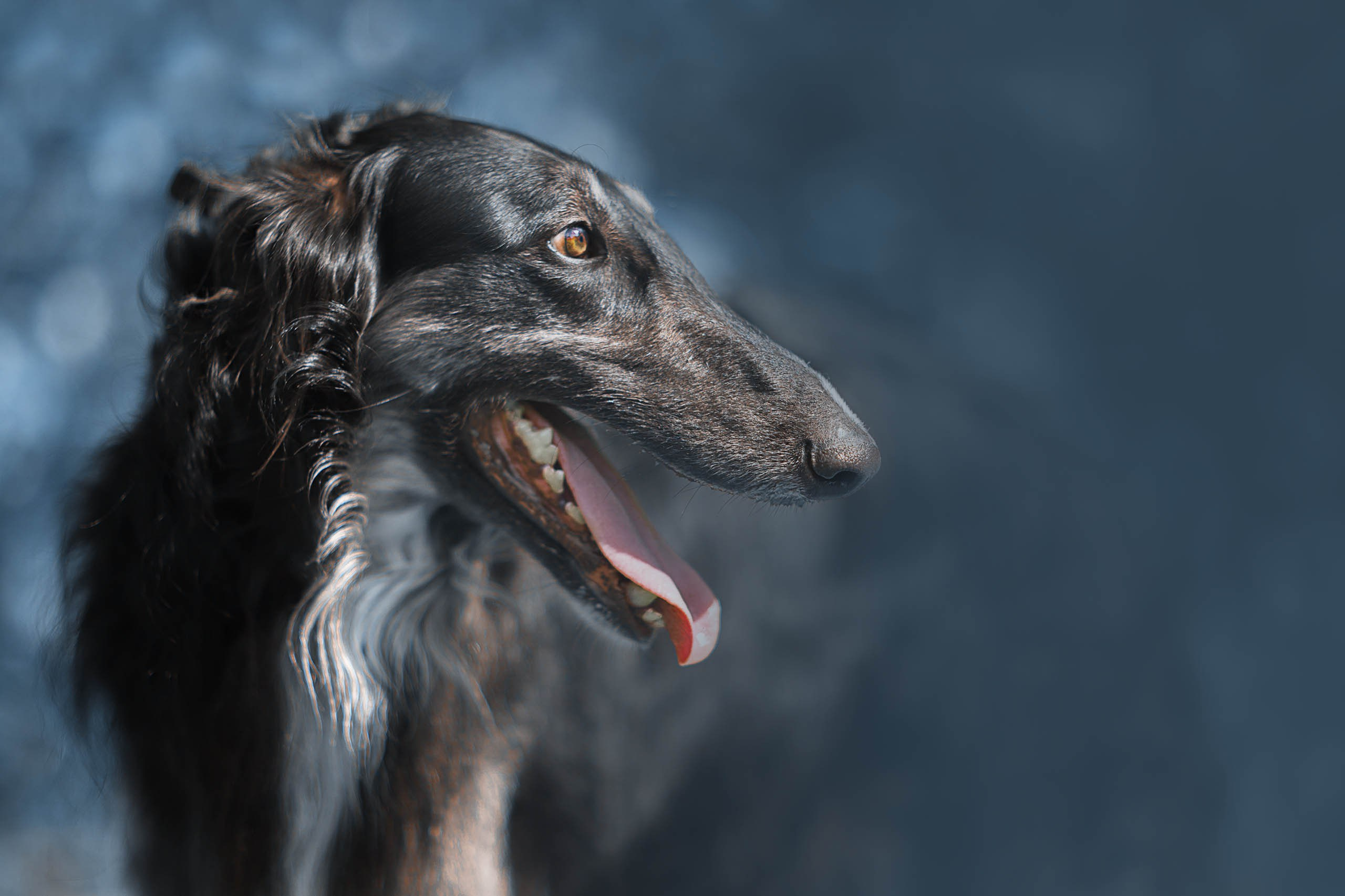 Курсы и мастер-классы. Фотограф в Таллине Виктория Баранова |фотосессии и обучение / Photographer Viktoria Baranova