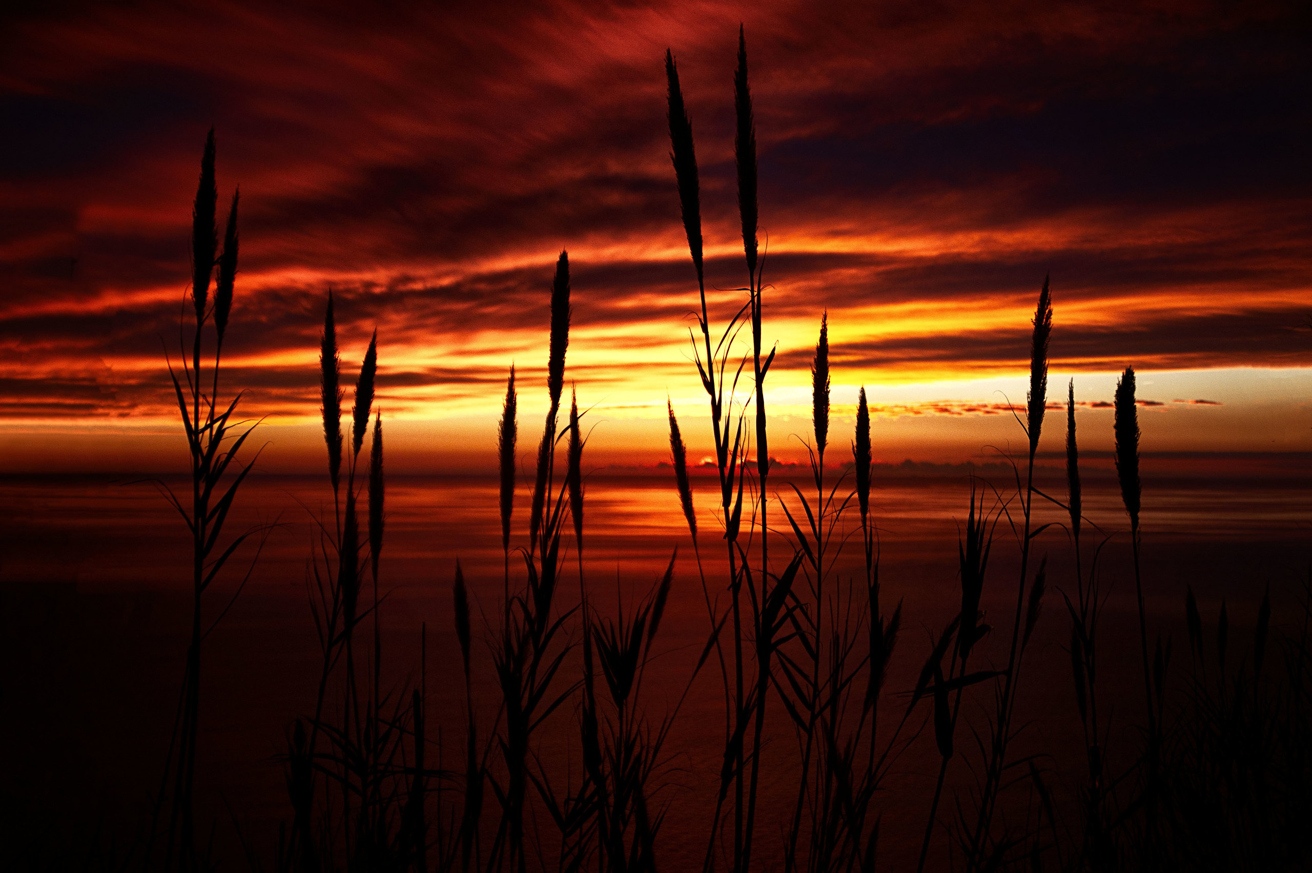 Send a postcard. Home