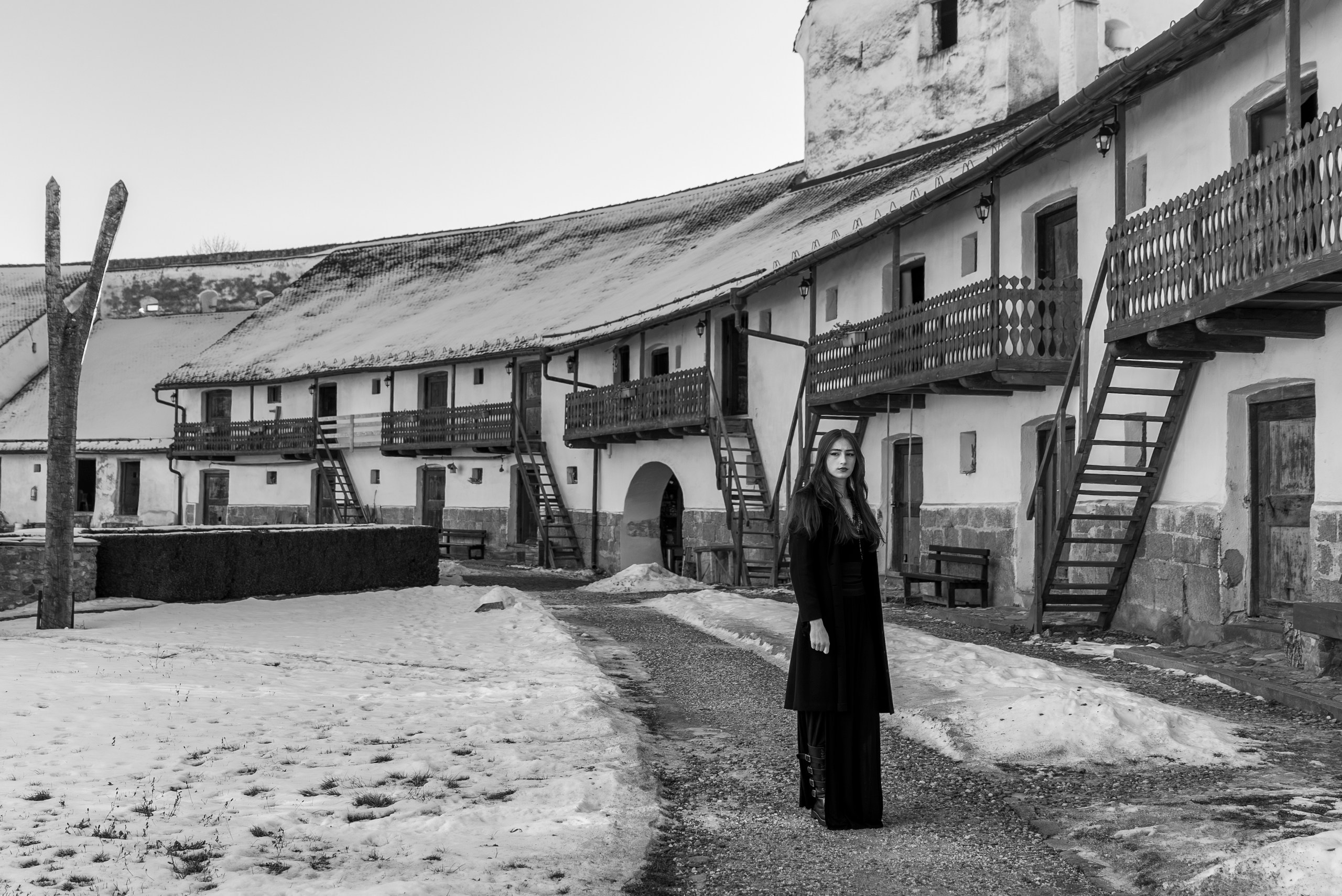 Prizonieră la castel. Daniel Hașiegan