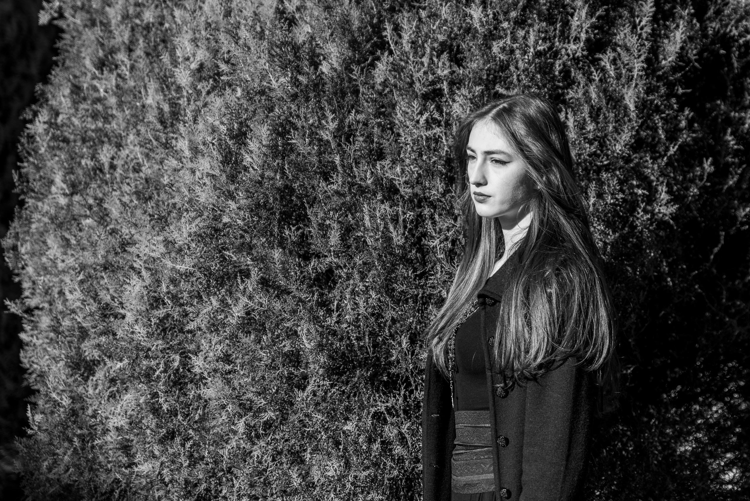 Prizonieră la castel. Daniel Hașiegan