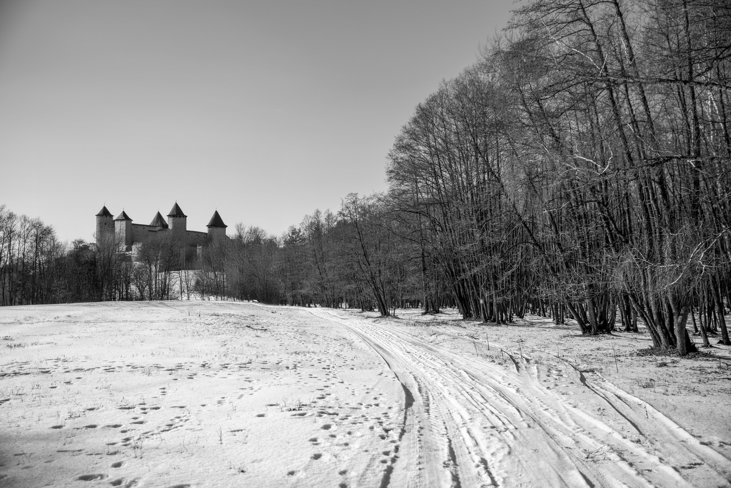 Prizonieră la castel. Daniel Hașiegan