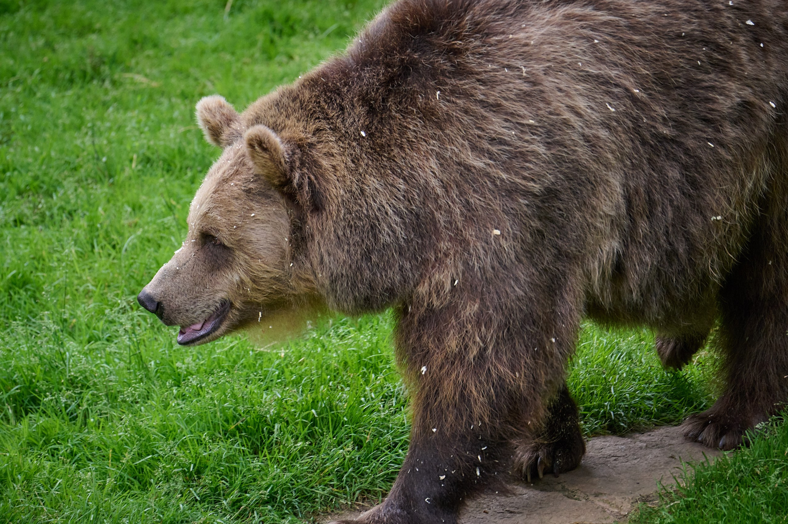 Visit Skånes Djurpark. Yuri Popkov | Photographer