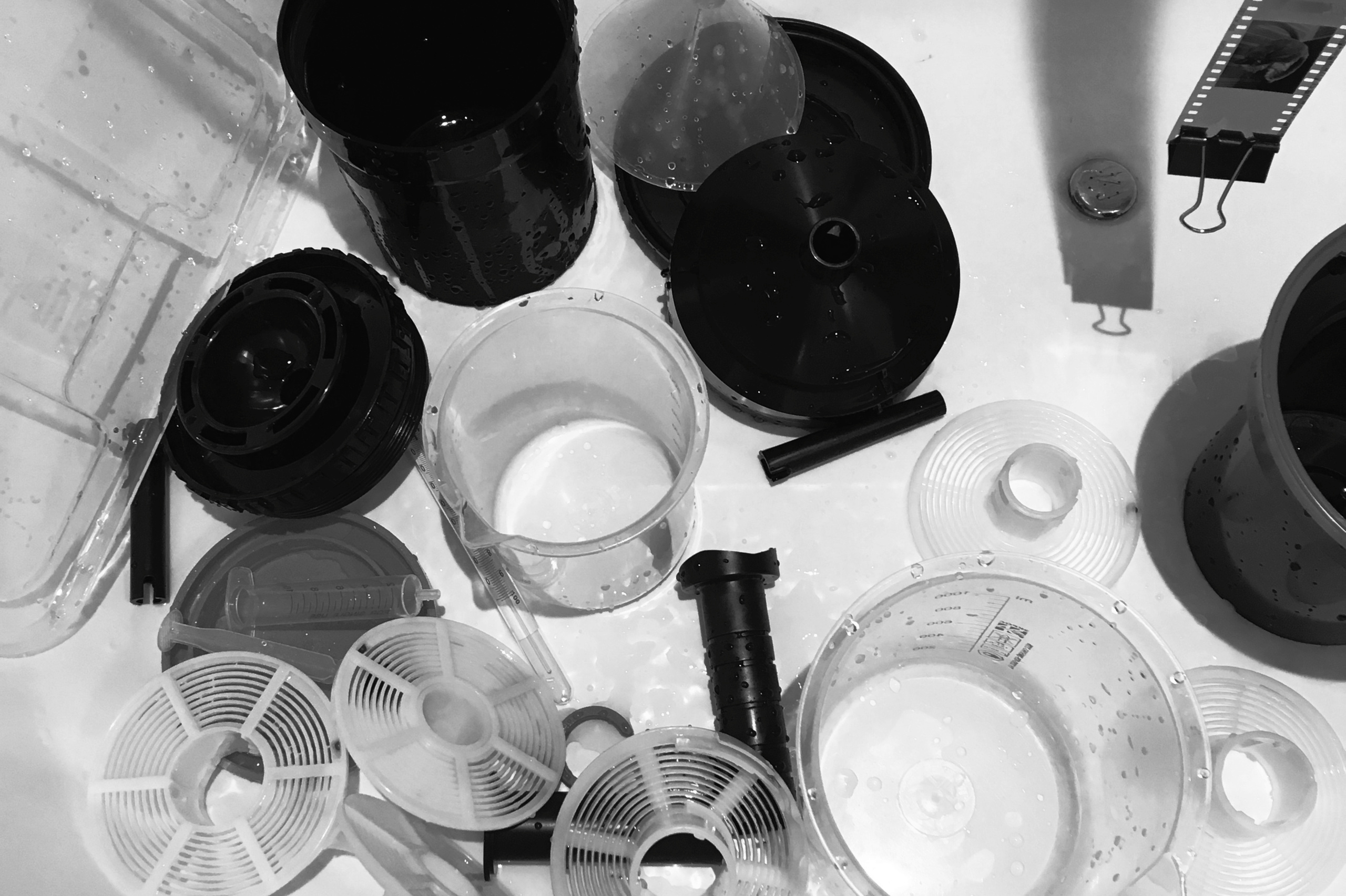 Film developing class. Polina Soyref, portrait photographer