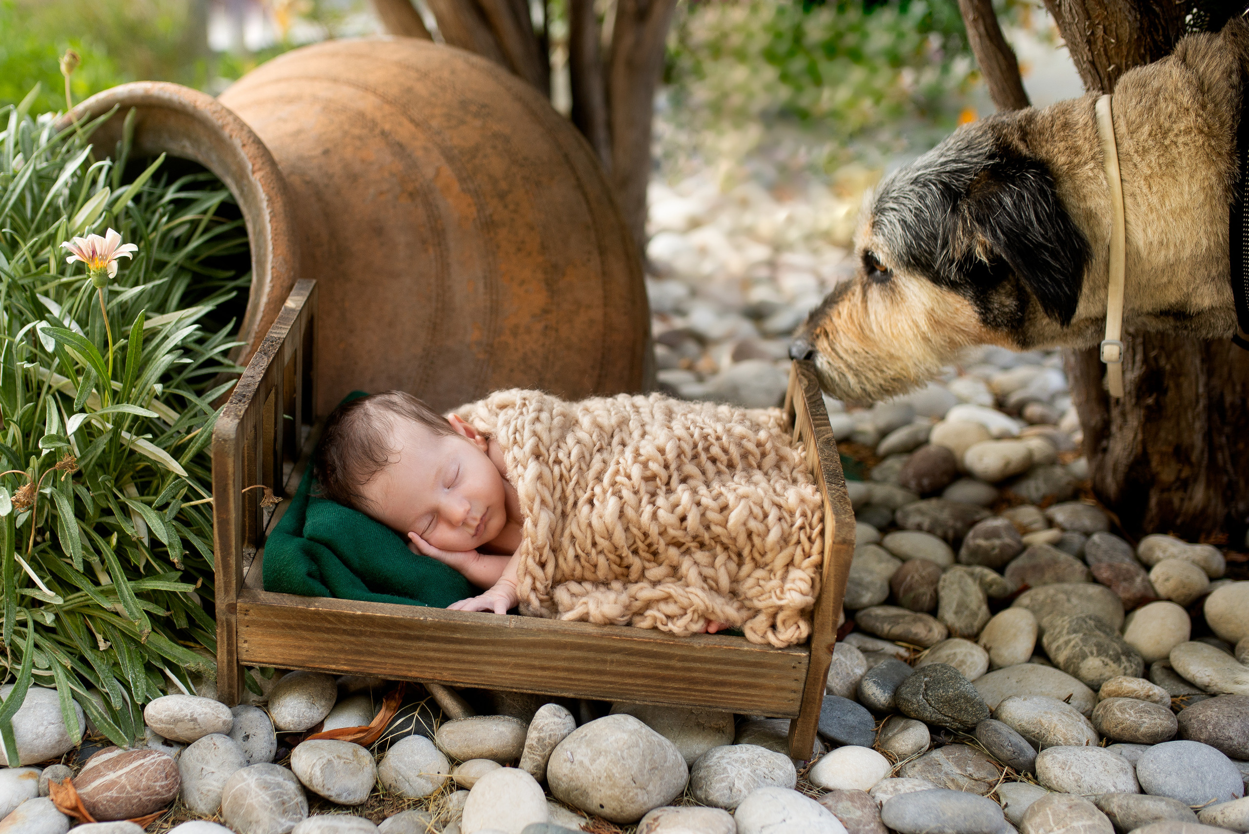 Βρεφική φωτογράφιση Ρόδος. Φωτογράφος νεογέννητων στη Ρόδο. Φωτογράφιση εγκυμοσύνης