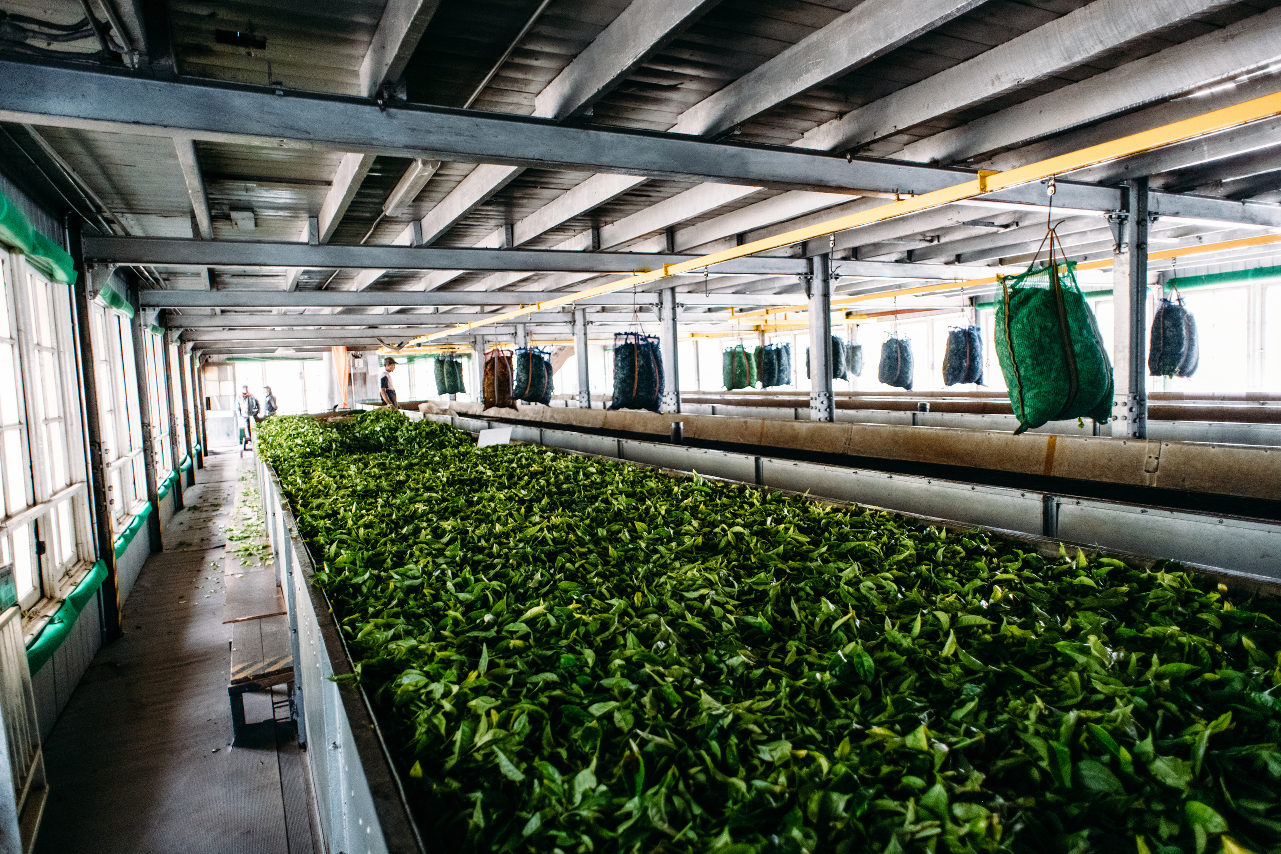 Wedding family photographer Alicante Benidorm Valencia Costa Blanca