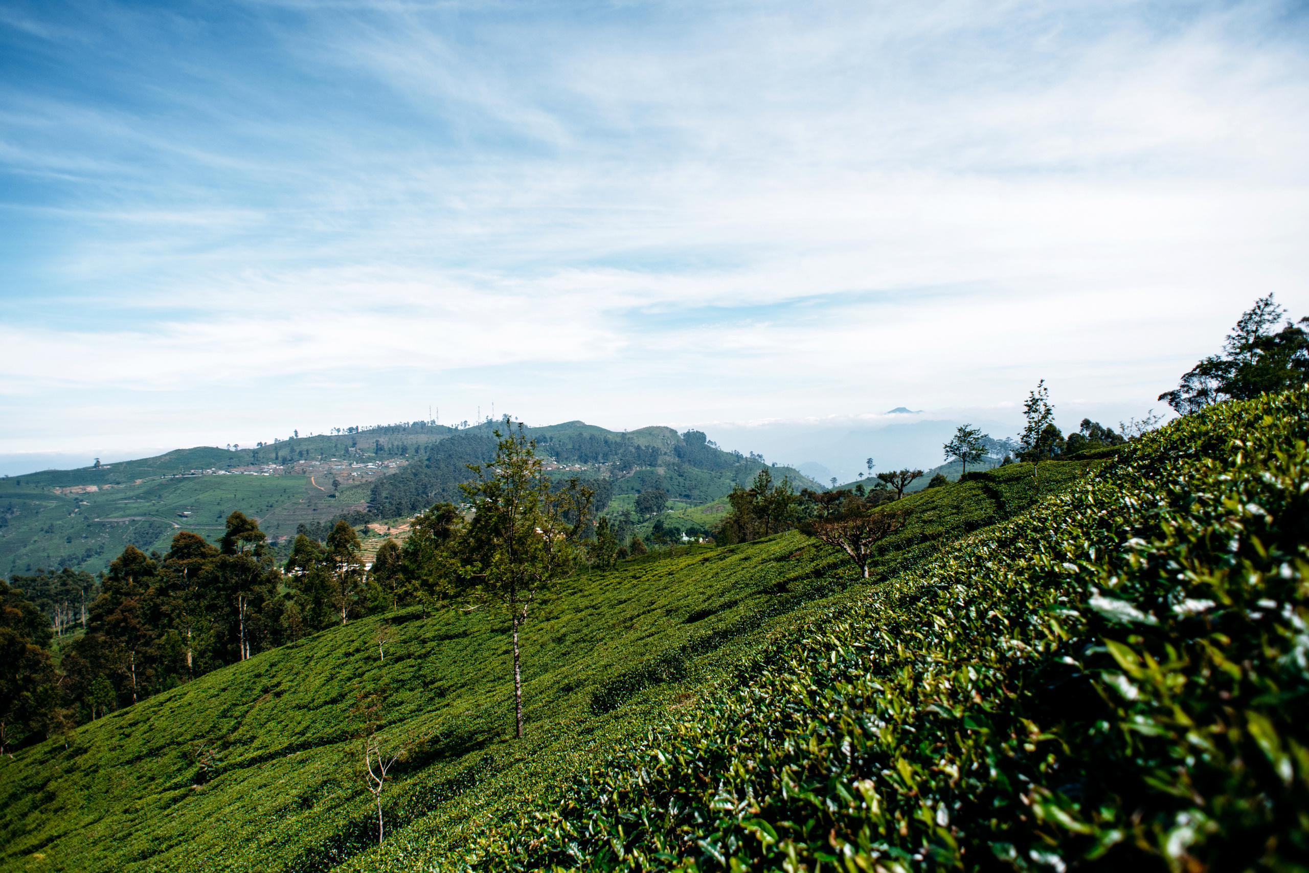 Wedding family photographer Alicante Benidorm Valencia Costa Blanca
