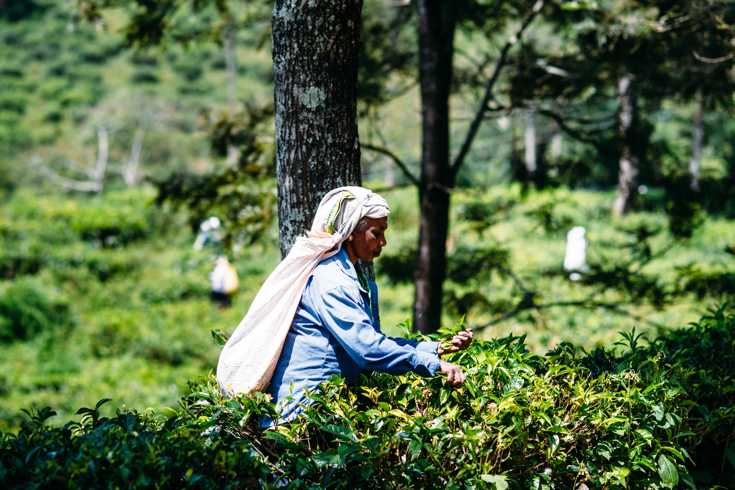 Wedding family photographer Alicante Benidorm Valencia Costa Blanca