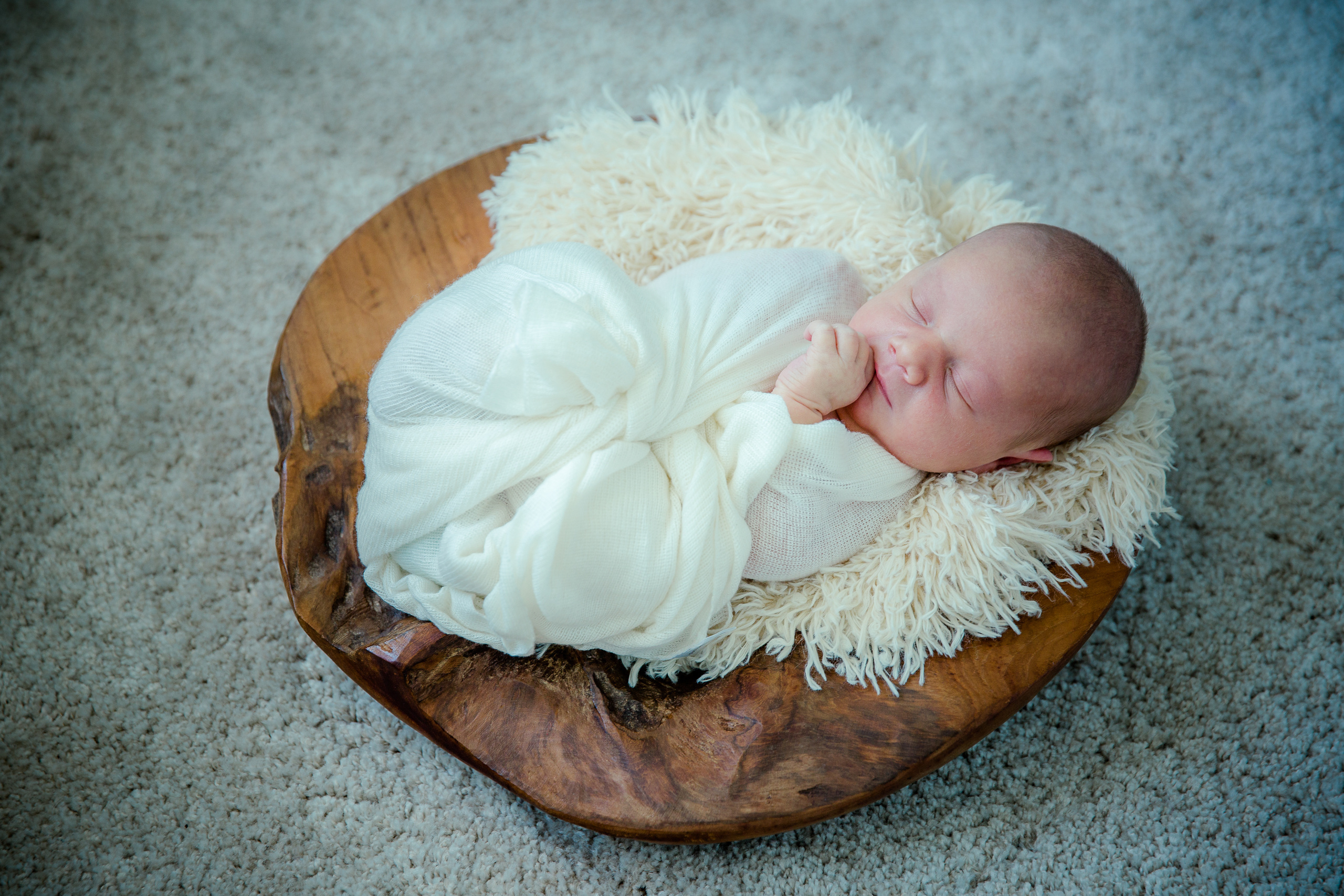 New Born and Maternity Packages. Pet, Senior, Landscape, portrait studio, photographer in Miami and Sou