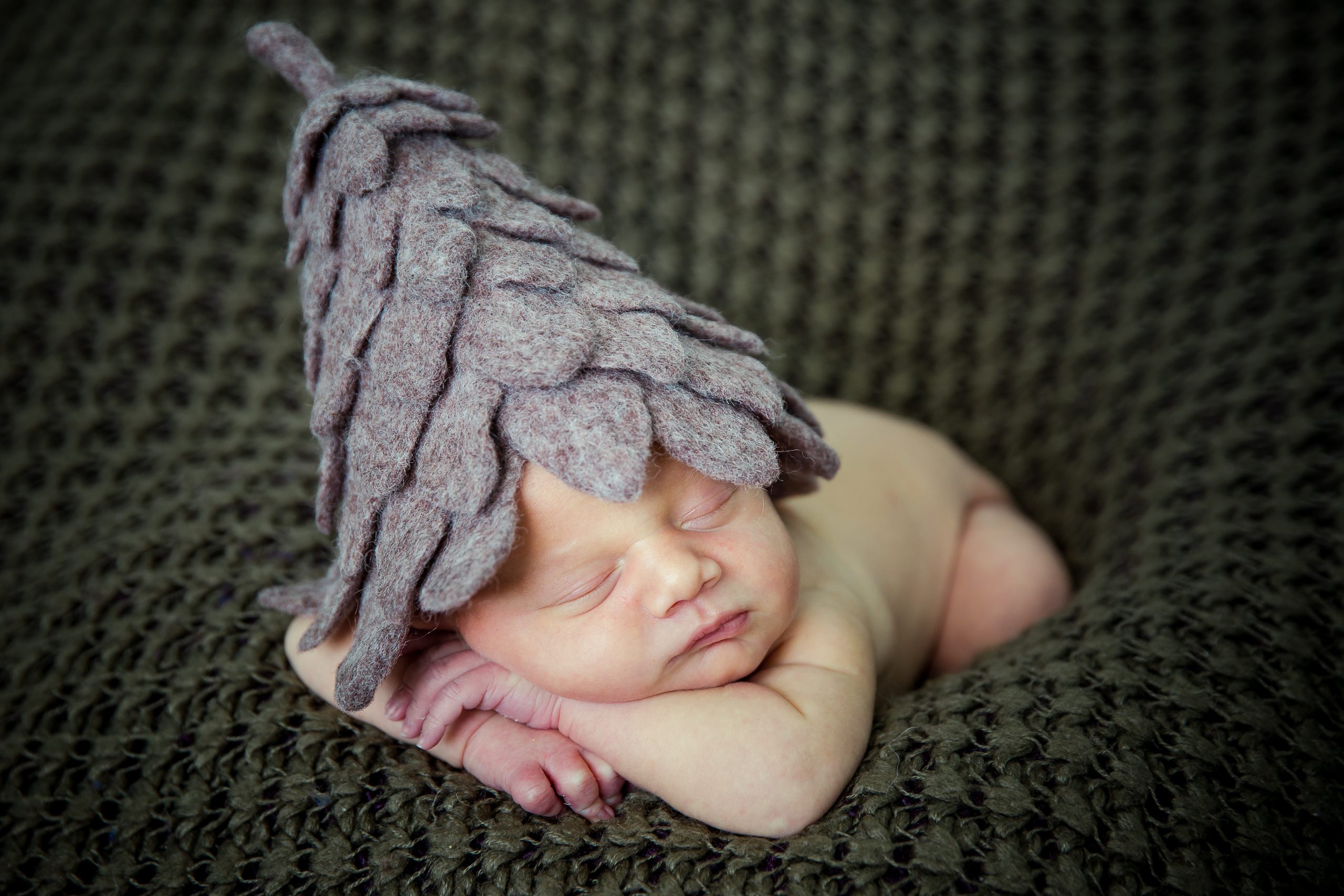 New Born and Maternity Packages. Pet, Senior, Landscape, portrait studio, photographer in Miami and Sou