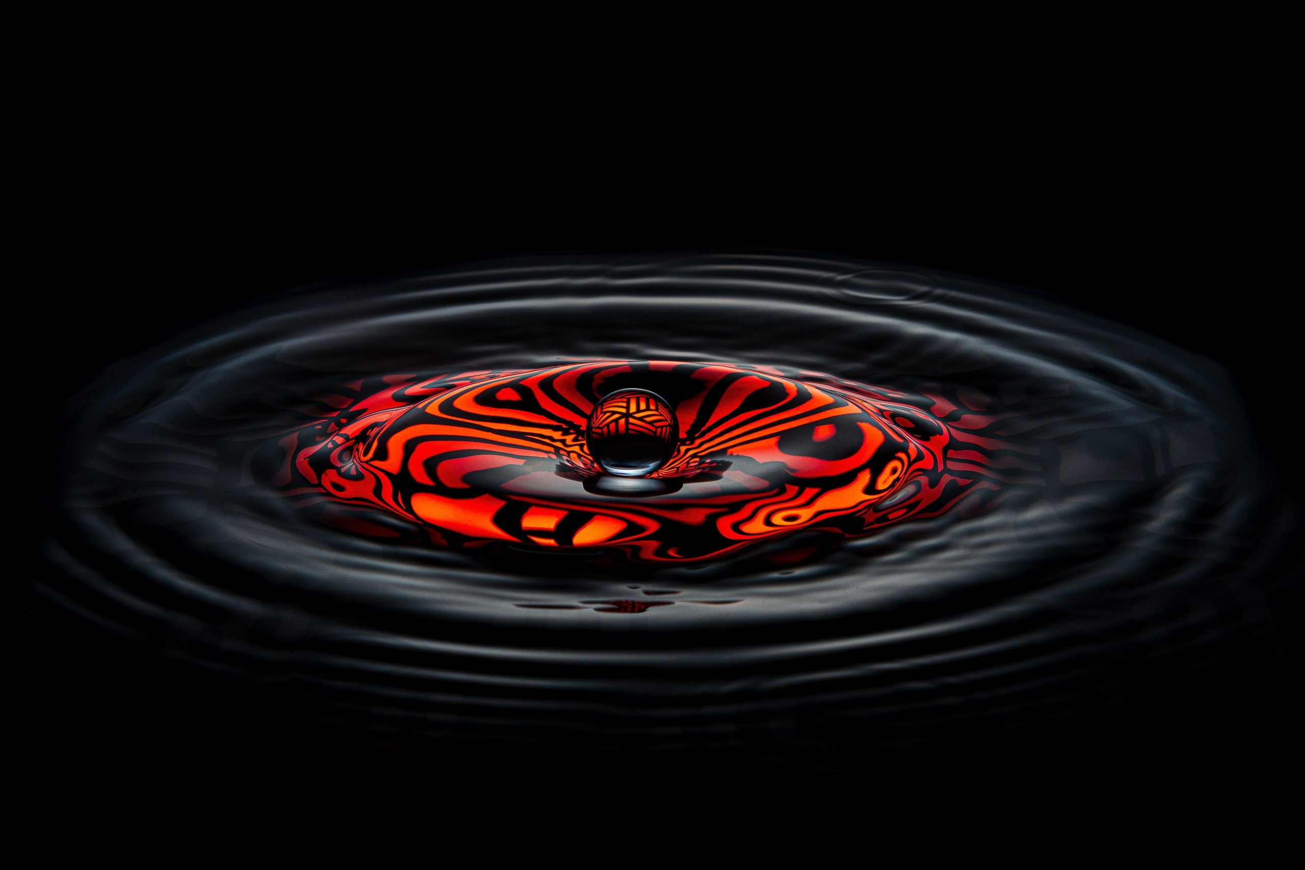 Portfolio Award 2025