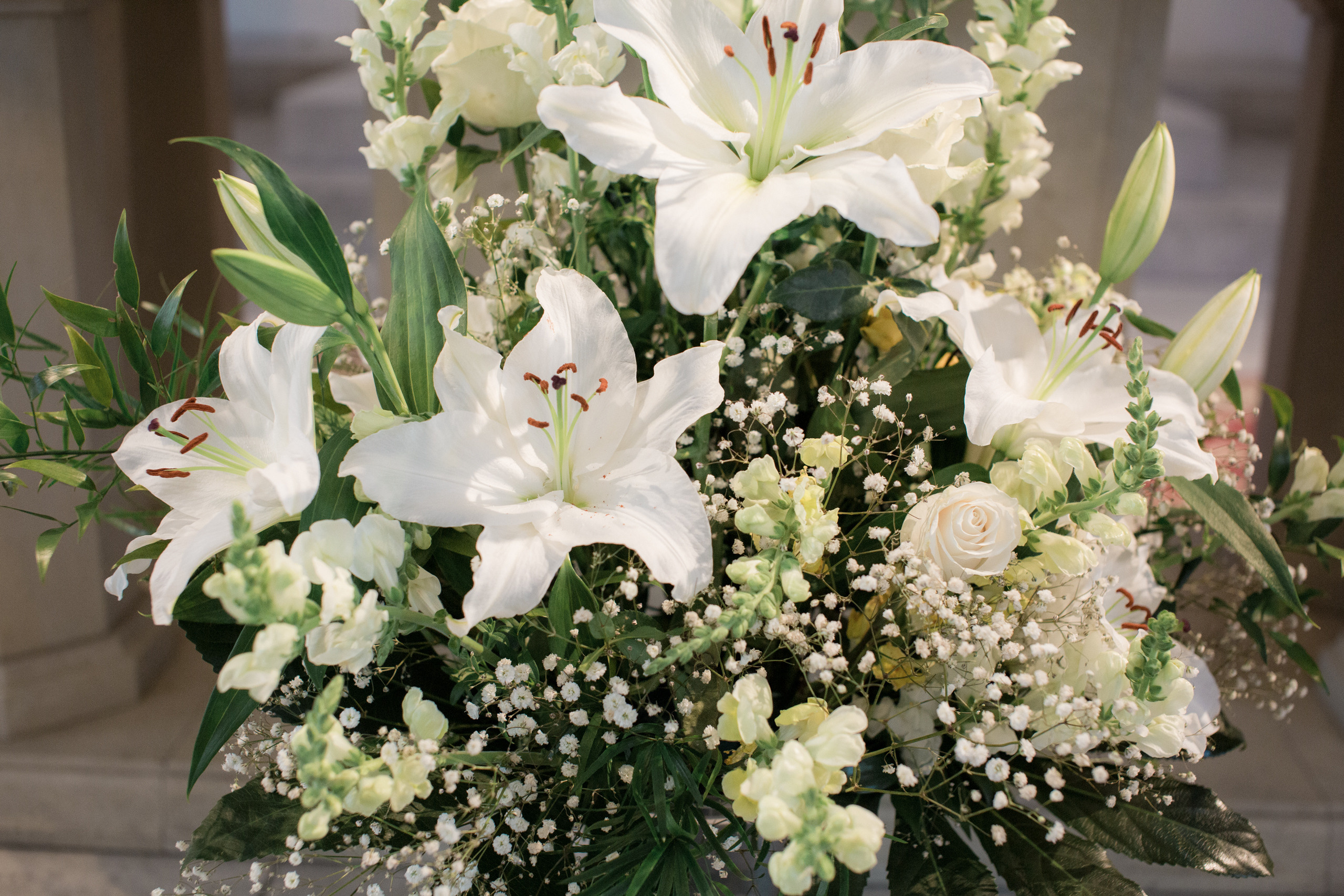 Профессиональный фотограф в Таллинне Анастасья