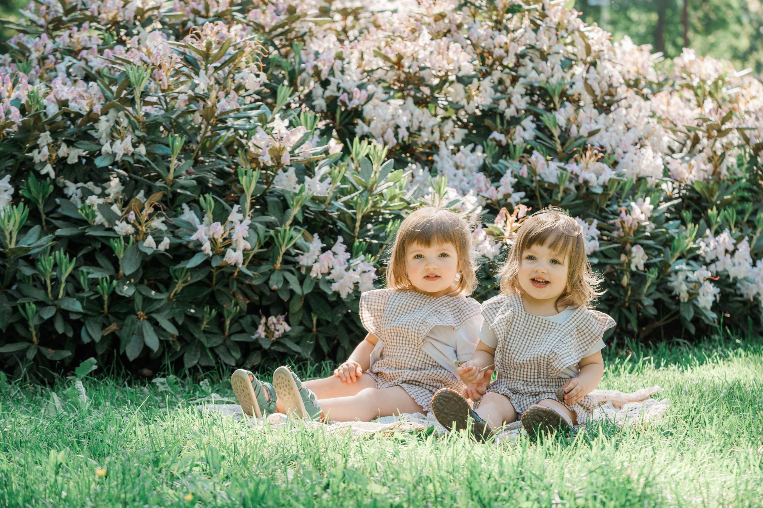 Perhekuvaus alppiruusupuistossa