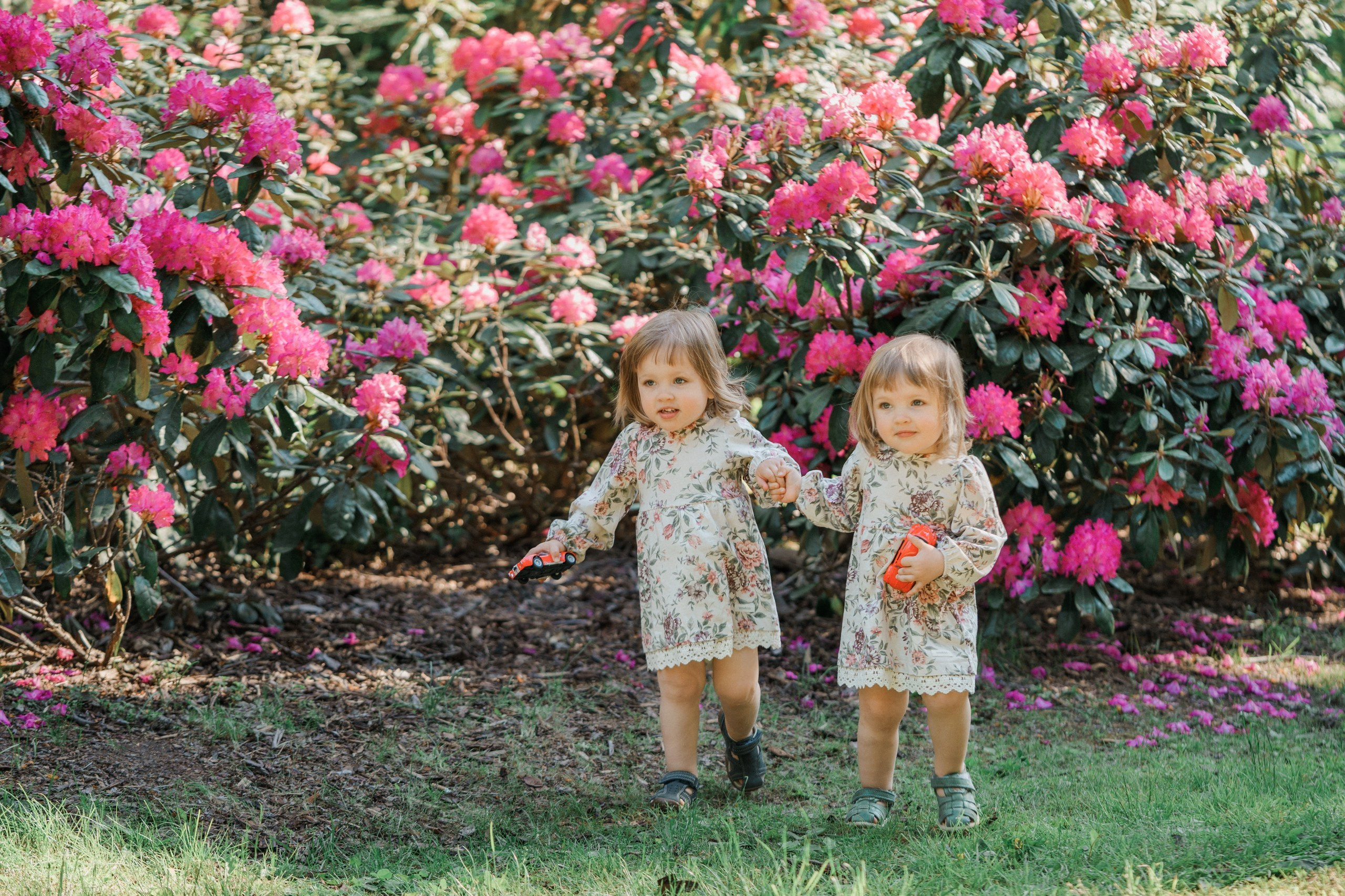 Perhekuvaus alppiruusupuistossa