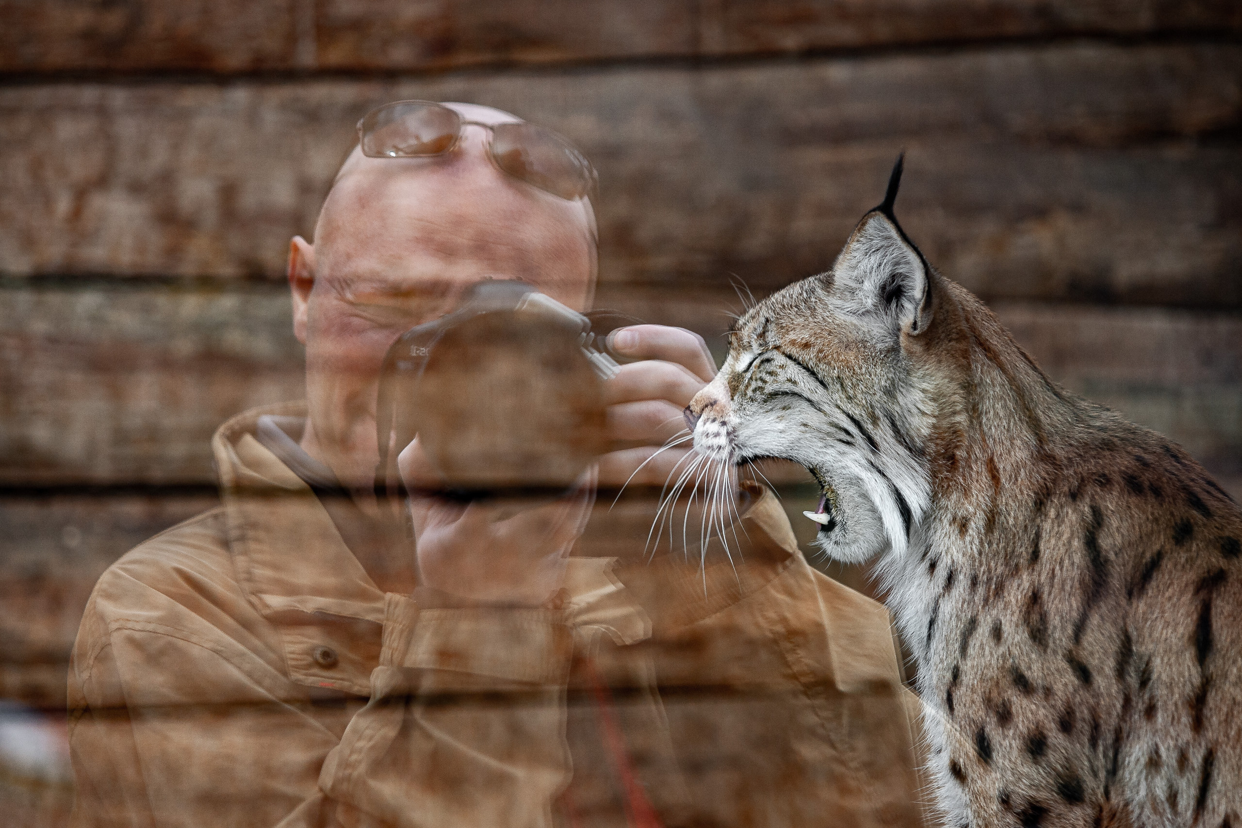 Dmitrii Sharov Photographer Israel