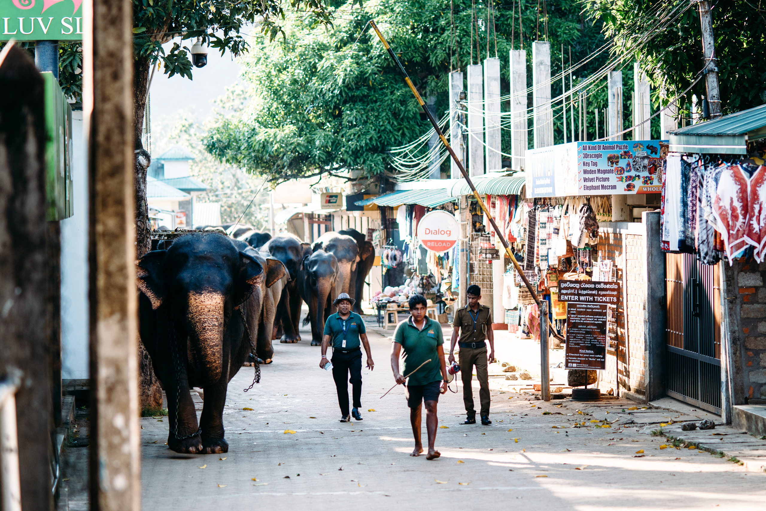 Wedding family photographer Alicante Benidorm Valencia Costa Blanca