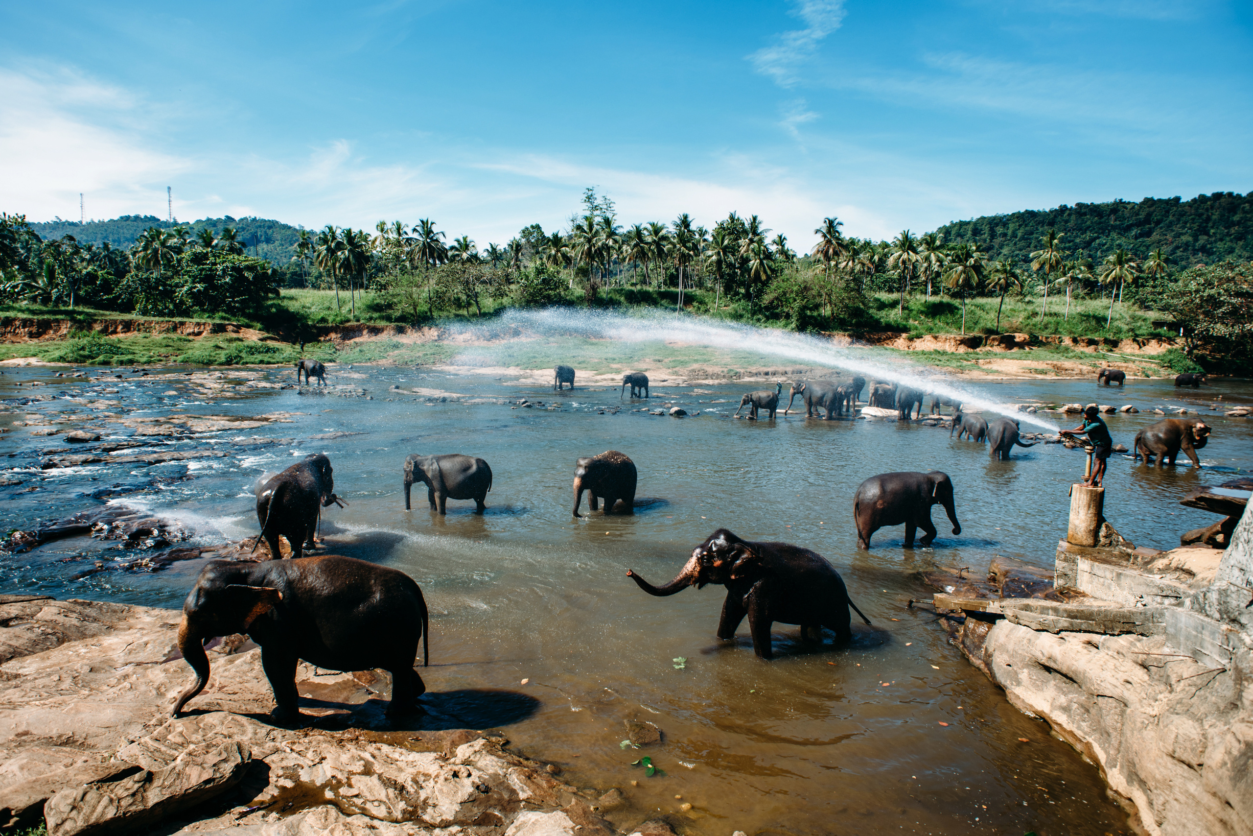 Wedding family photographer Alicante Benidorm Valencia Costa Blanca