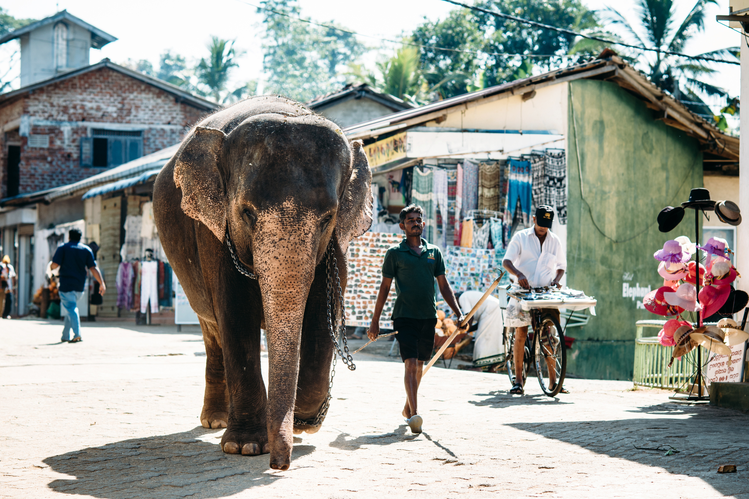 Wedding family photographer Alicante Benidorm Valencia Costa Blanca