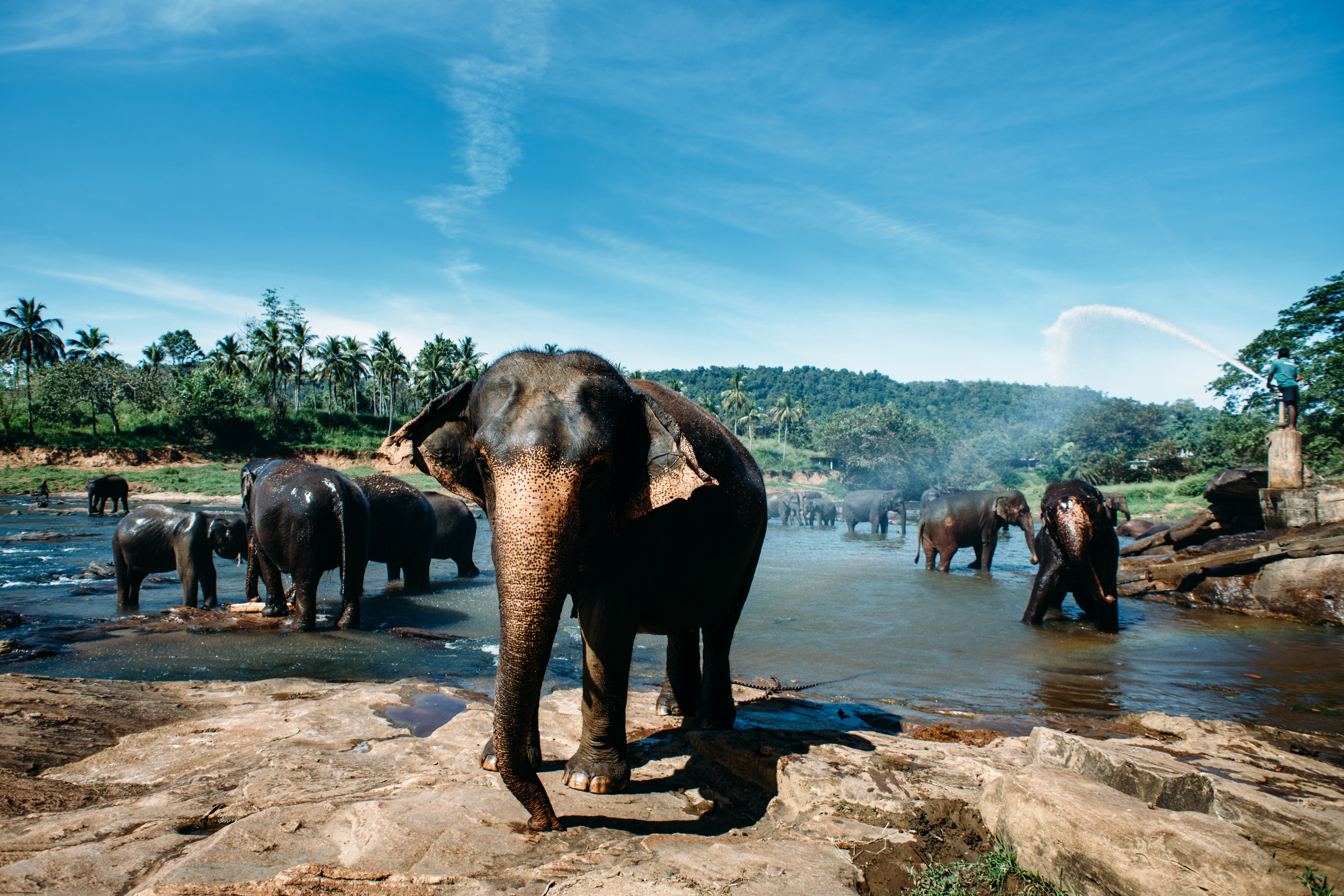 Wedding family photographer Alicante Benidorm Valencia Costa Blanca