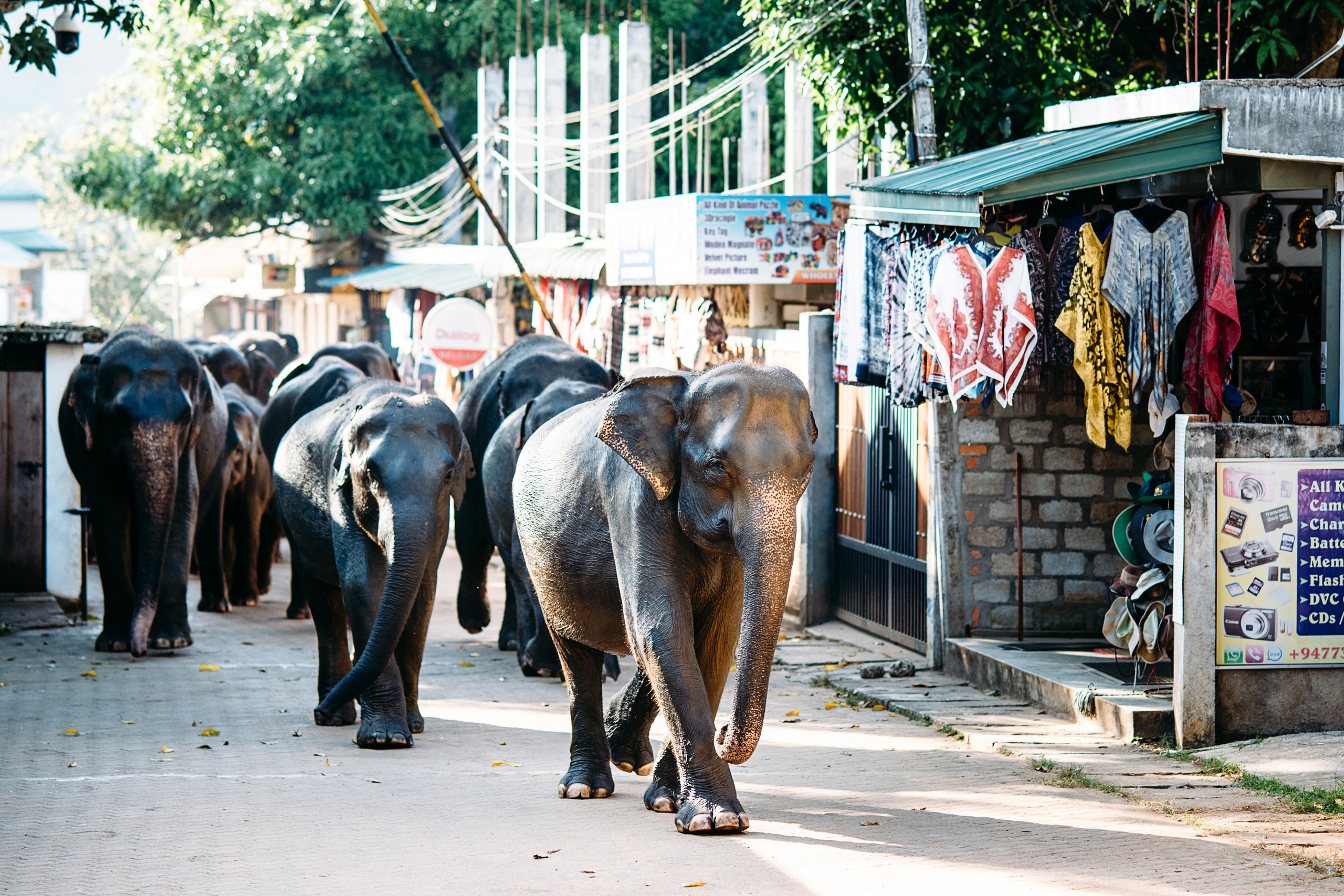 Wedding family photographer Alicante Benidorm Valencia Costa Blanca