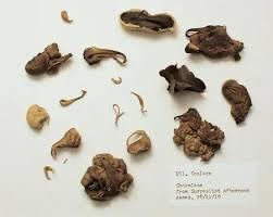 Игры сюрреалистов: техники творчества и креативные эксперименты. Школа современного искусства Лени Сморагдовой