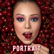 portraitmoodvienna.com