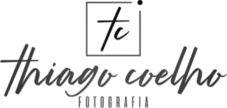 thiagocoelho.art.br