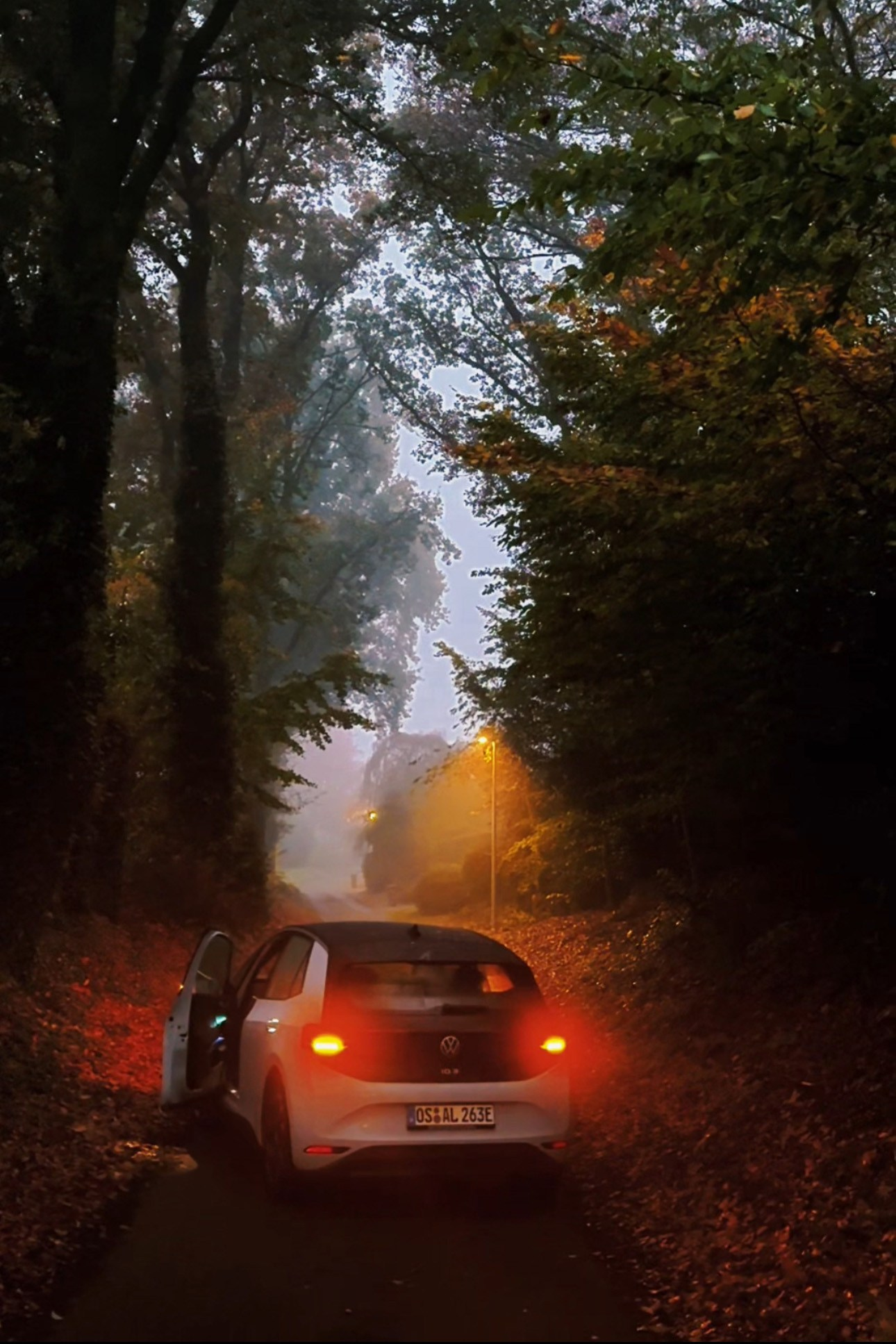 Mein Film. Fotografin und Videografin im Raum Osnabrück und Emsland Alla