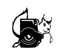 elenaturina.wfolio.pro