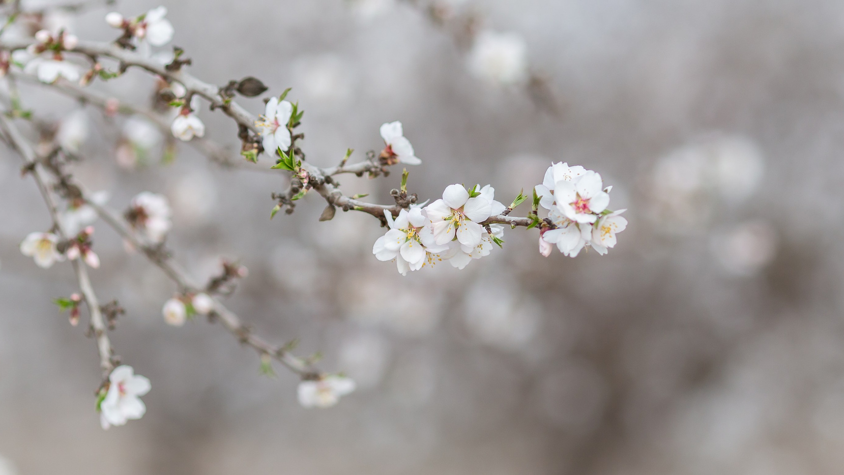 FAQs. Los Angeles portrait photographer Valeria Kasatkina