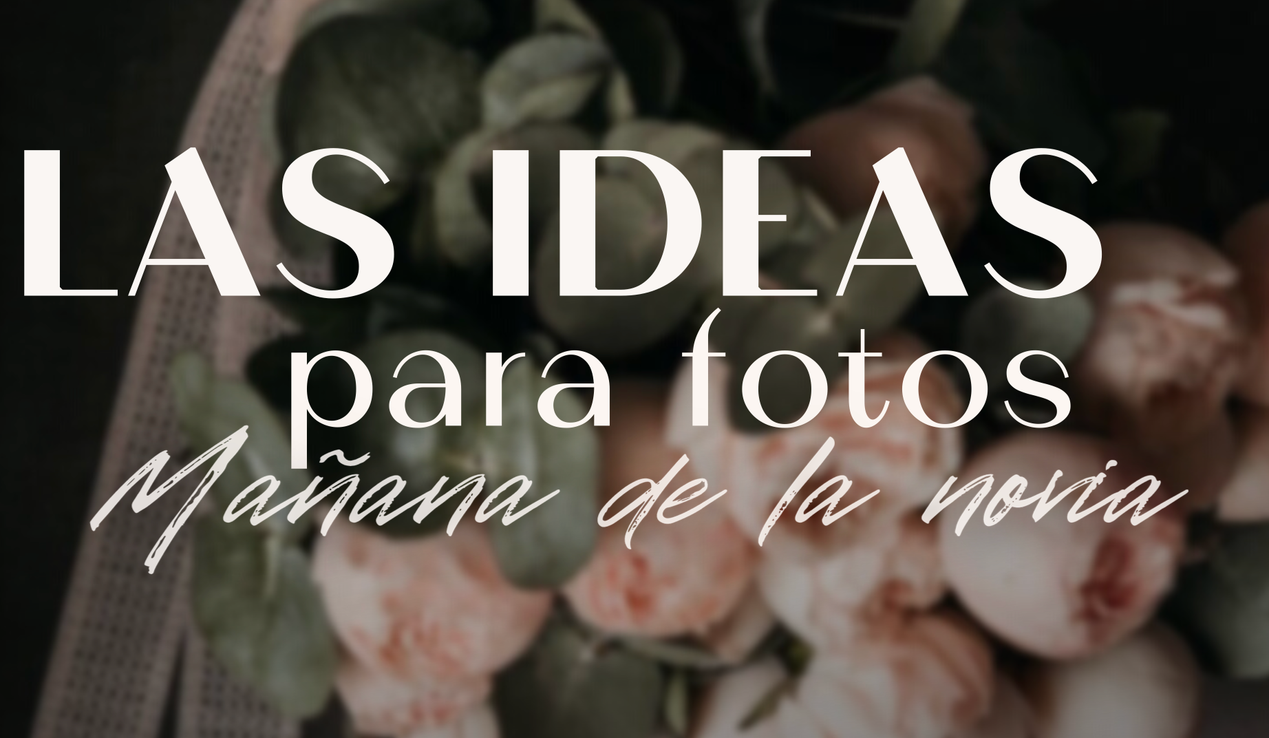 Packs de bodas