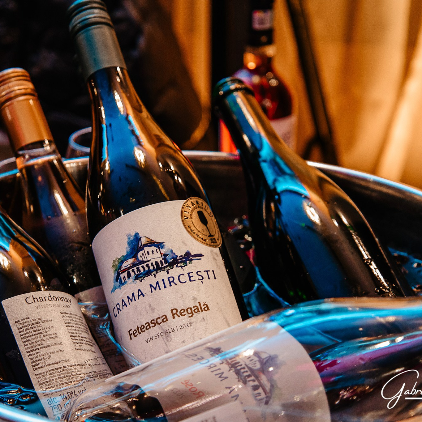 Gabriel Nistor Art-Studios - Fotograf / Videograf Iasi