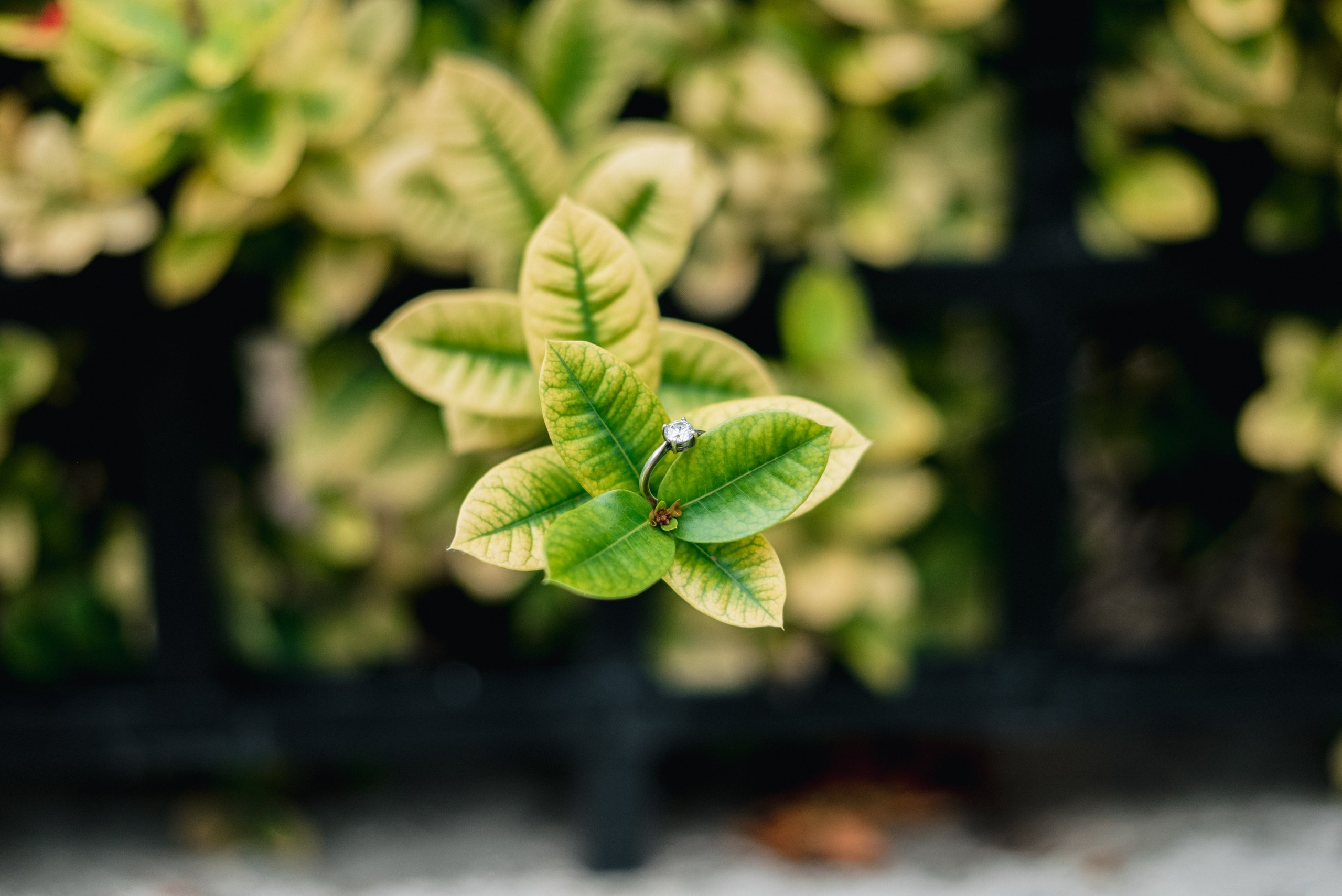Blog para novios. Victor Rivera, fotógrafo profesional de bodas en Barranquilla. Fotógrafo profesional de bodas, embarazo y familias en Barranquilla