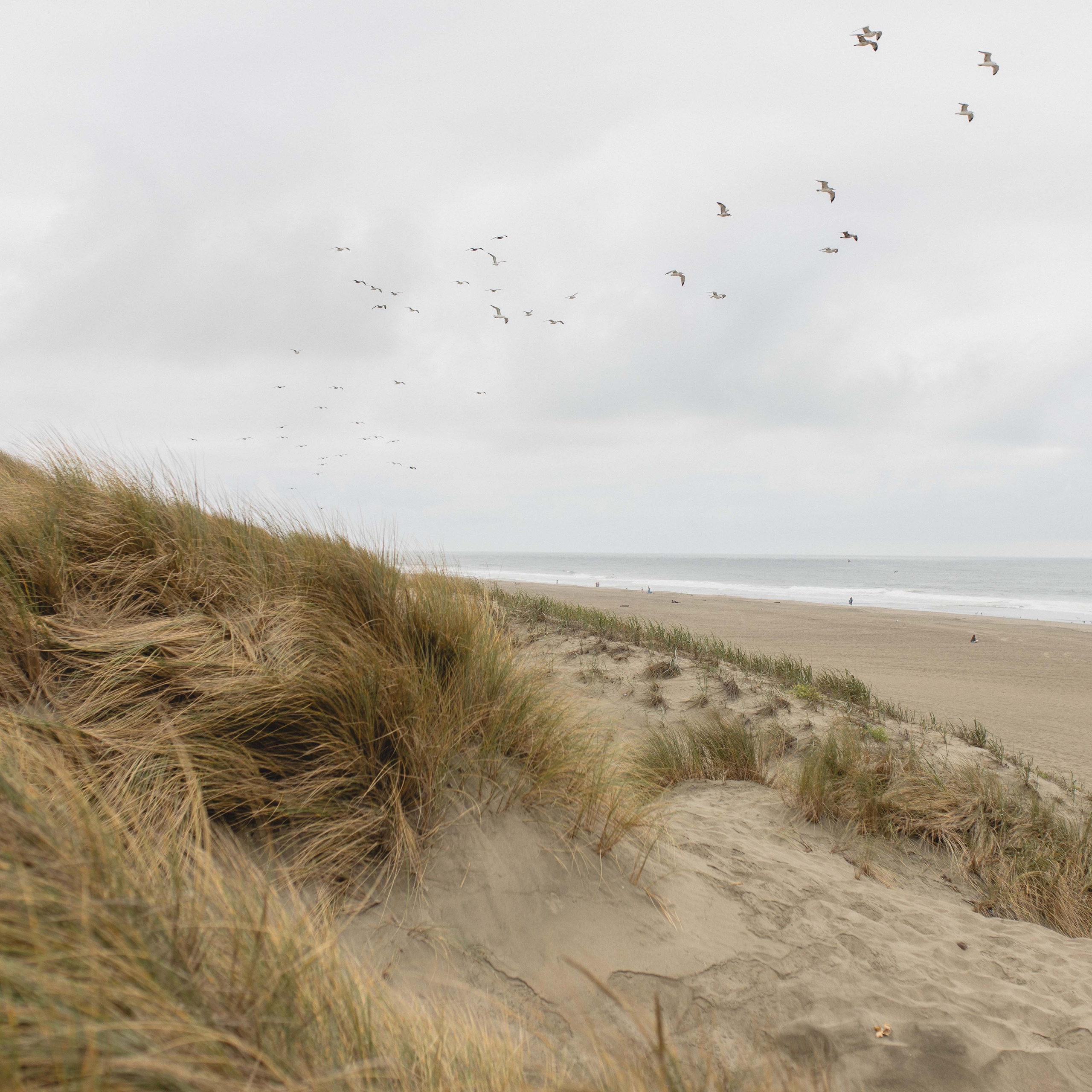 Bay Area Photography Tips: Energy Creates Magic. Maternity, newborn photographer in the Bay Area|Iryna Rakivnenko