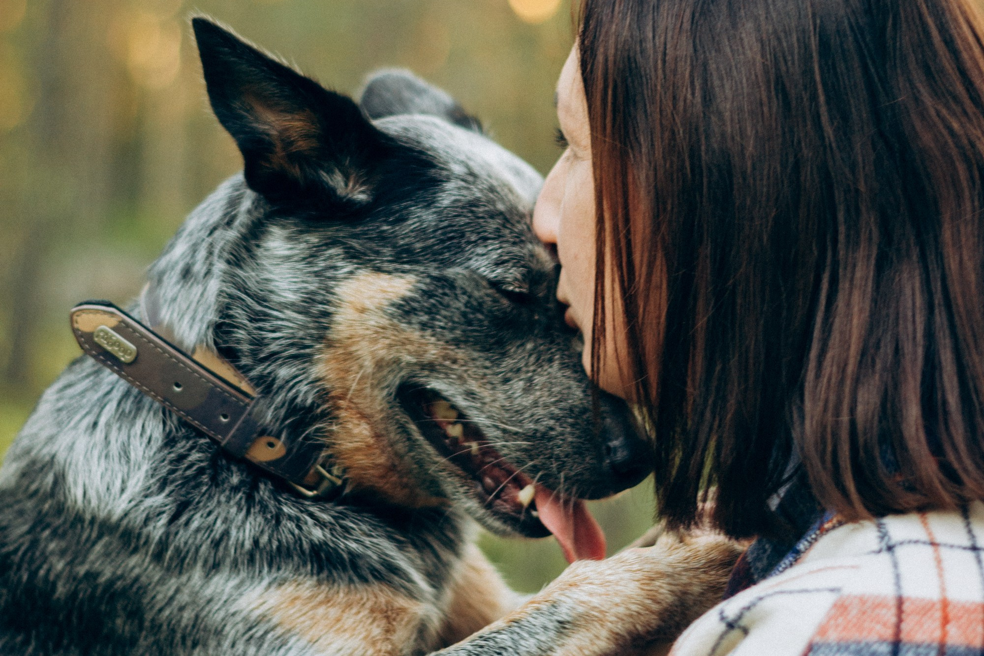 Services and Price. Kat Laisaar — Pet photographer in Tallinn